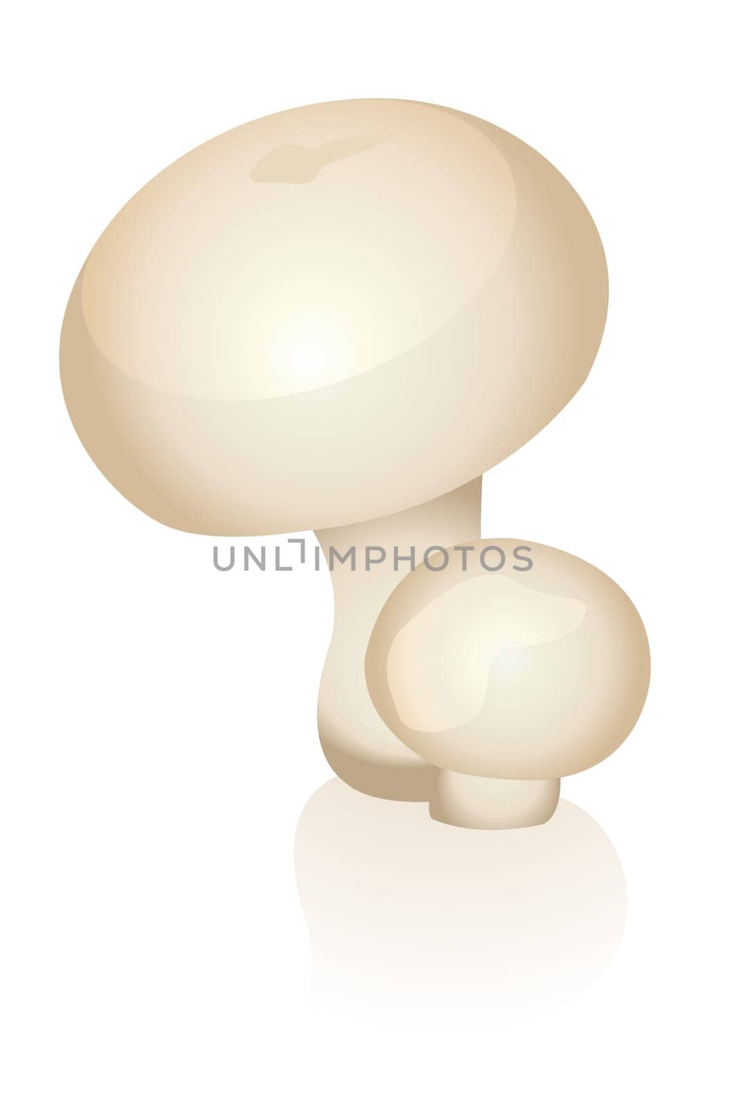 Mushrooms