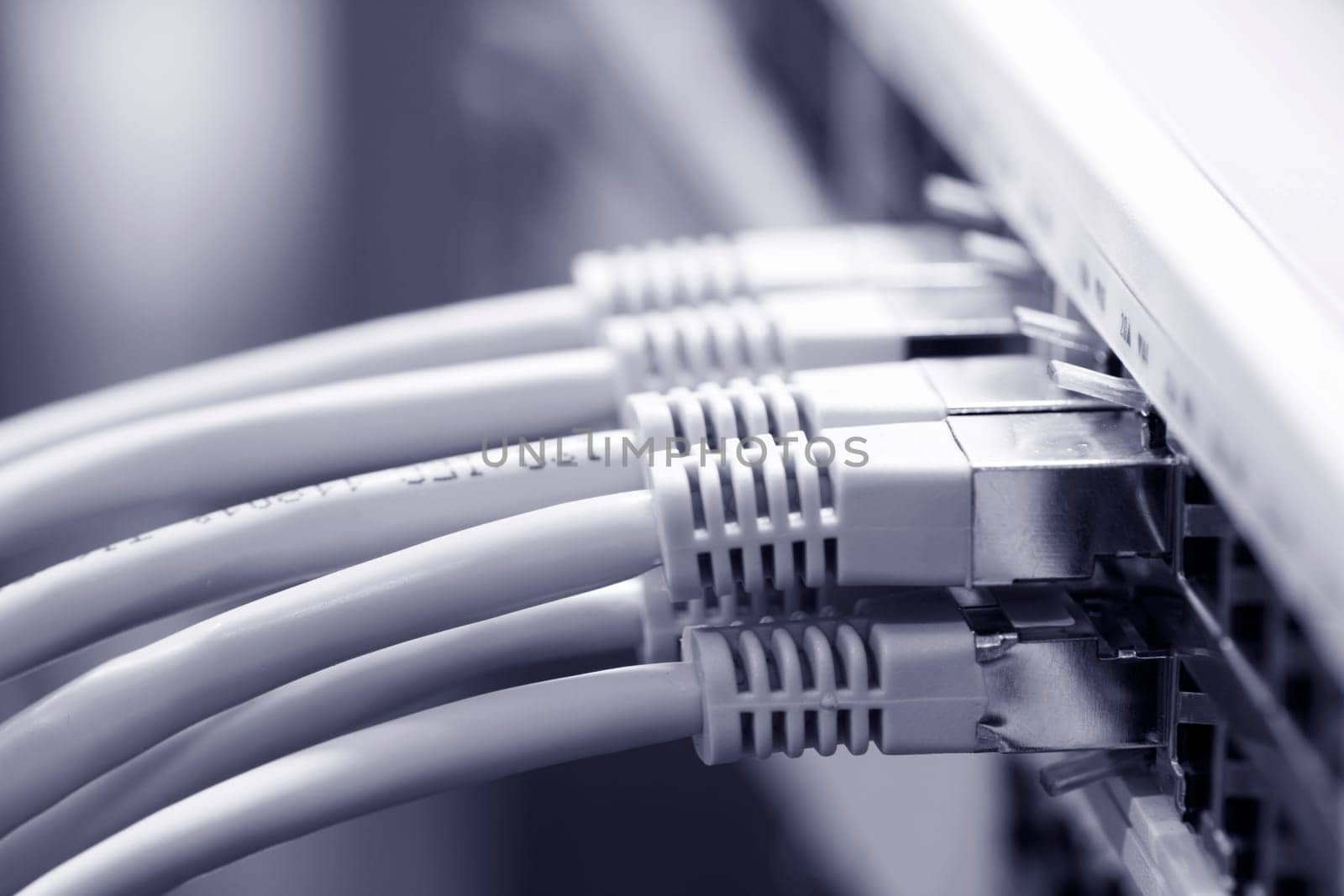 Network cable connected to a switch
