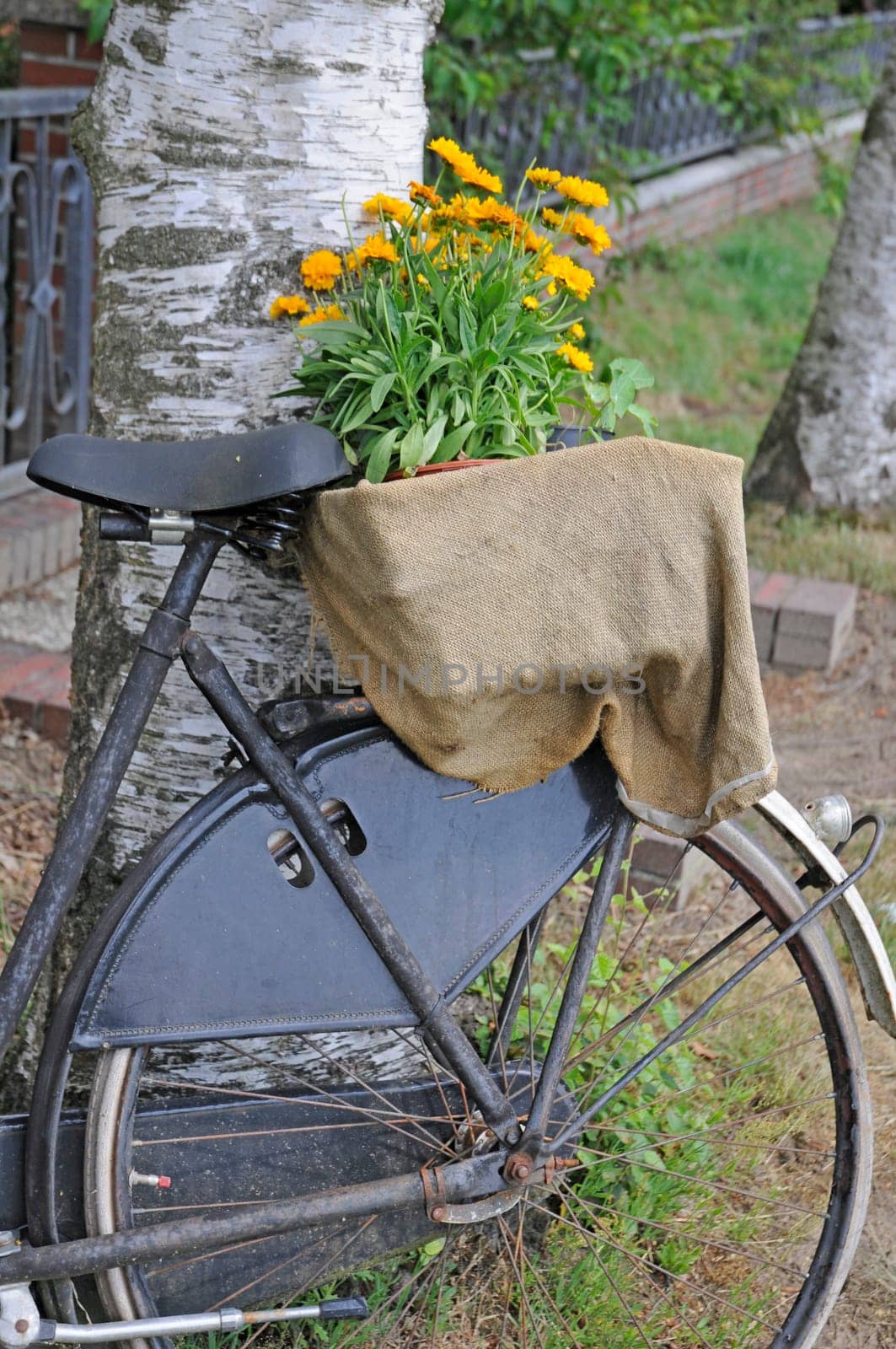 Bicycle with floral decoration