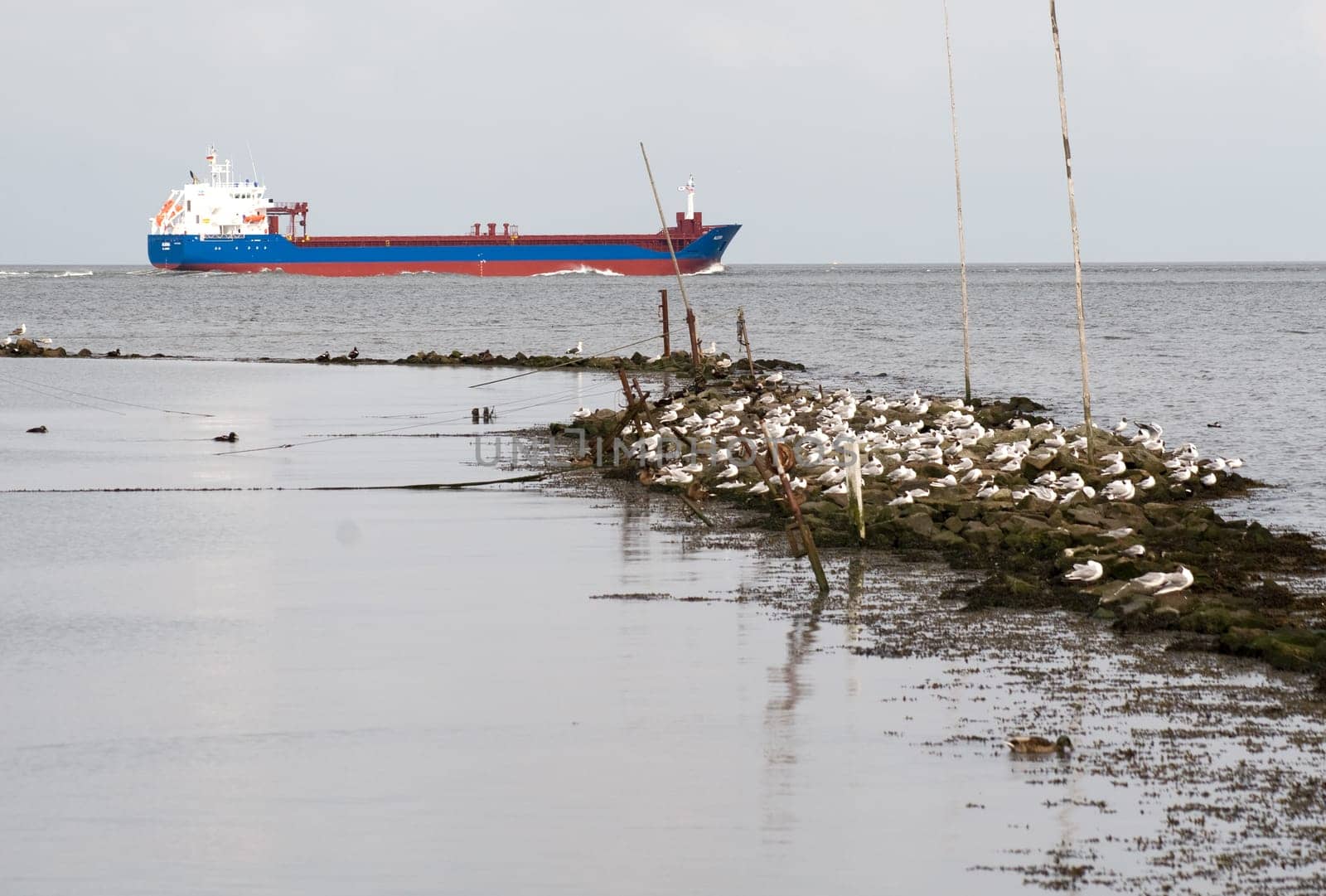 Island and tanker