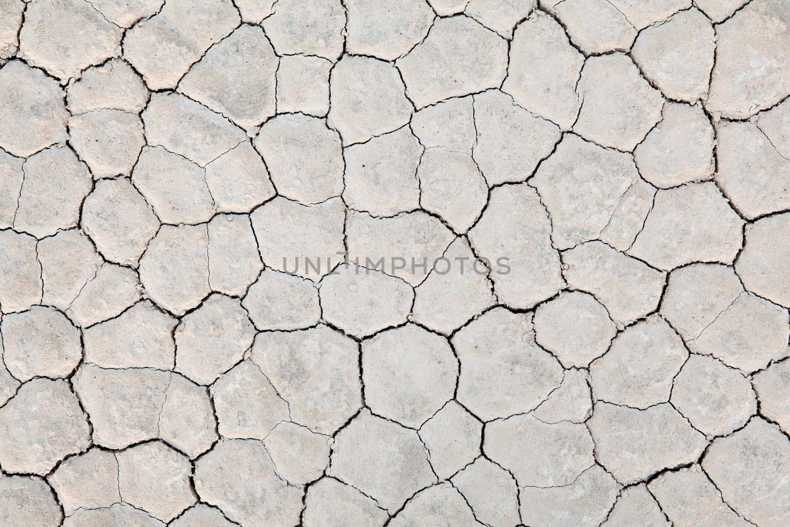 dry earth background
