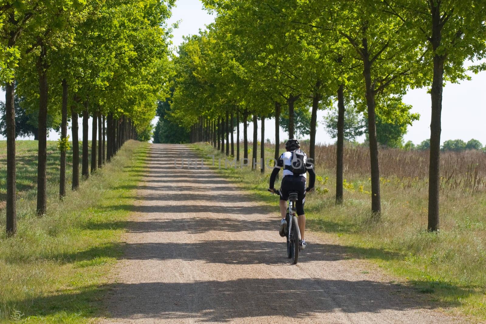 Road cyclists