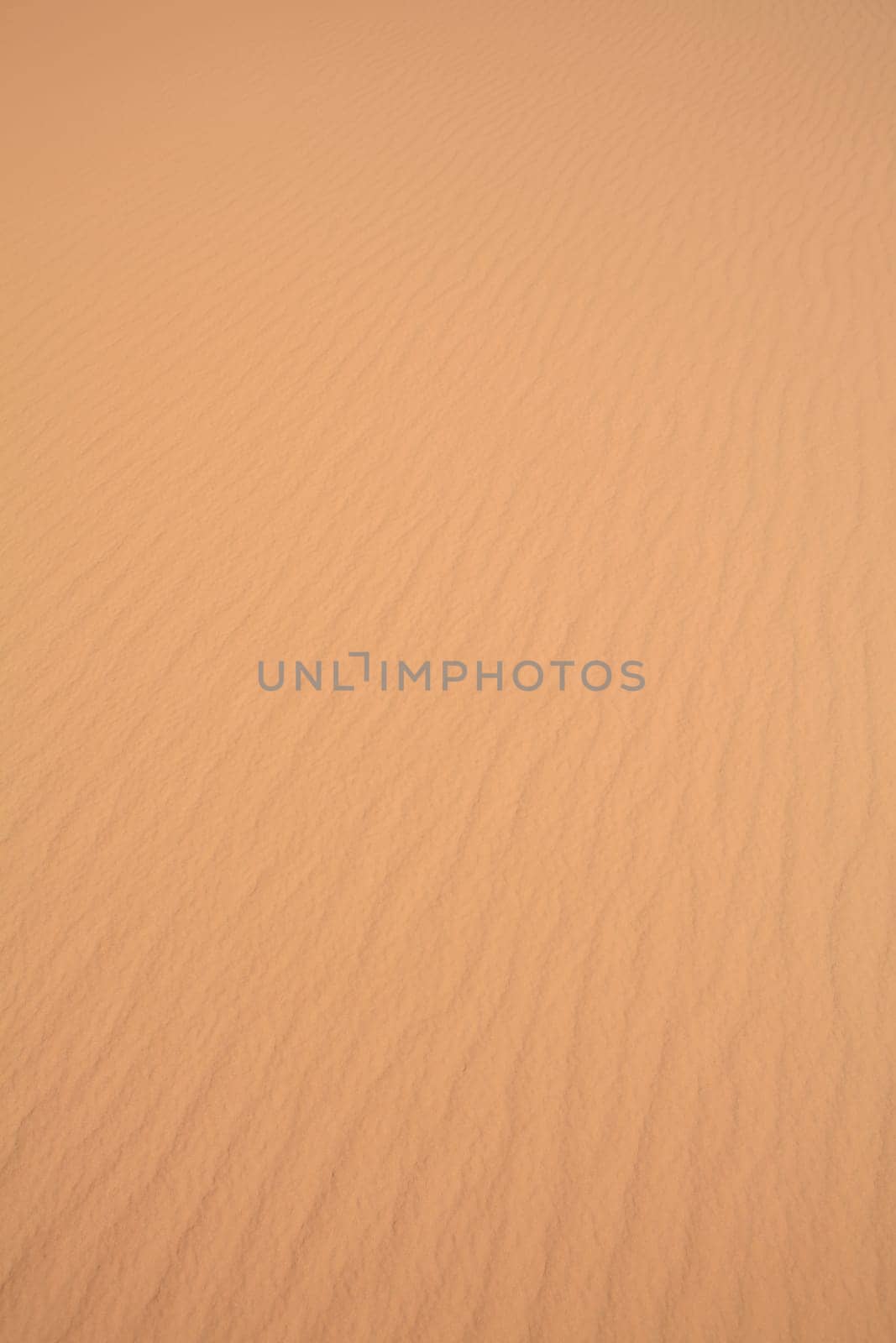 subtle desert sand ripples background