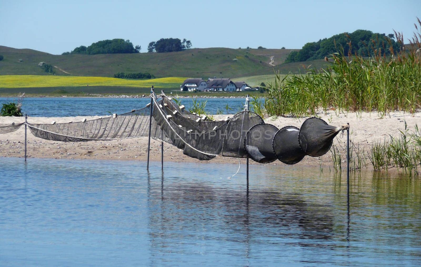 Fish trap on Rügen