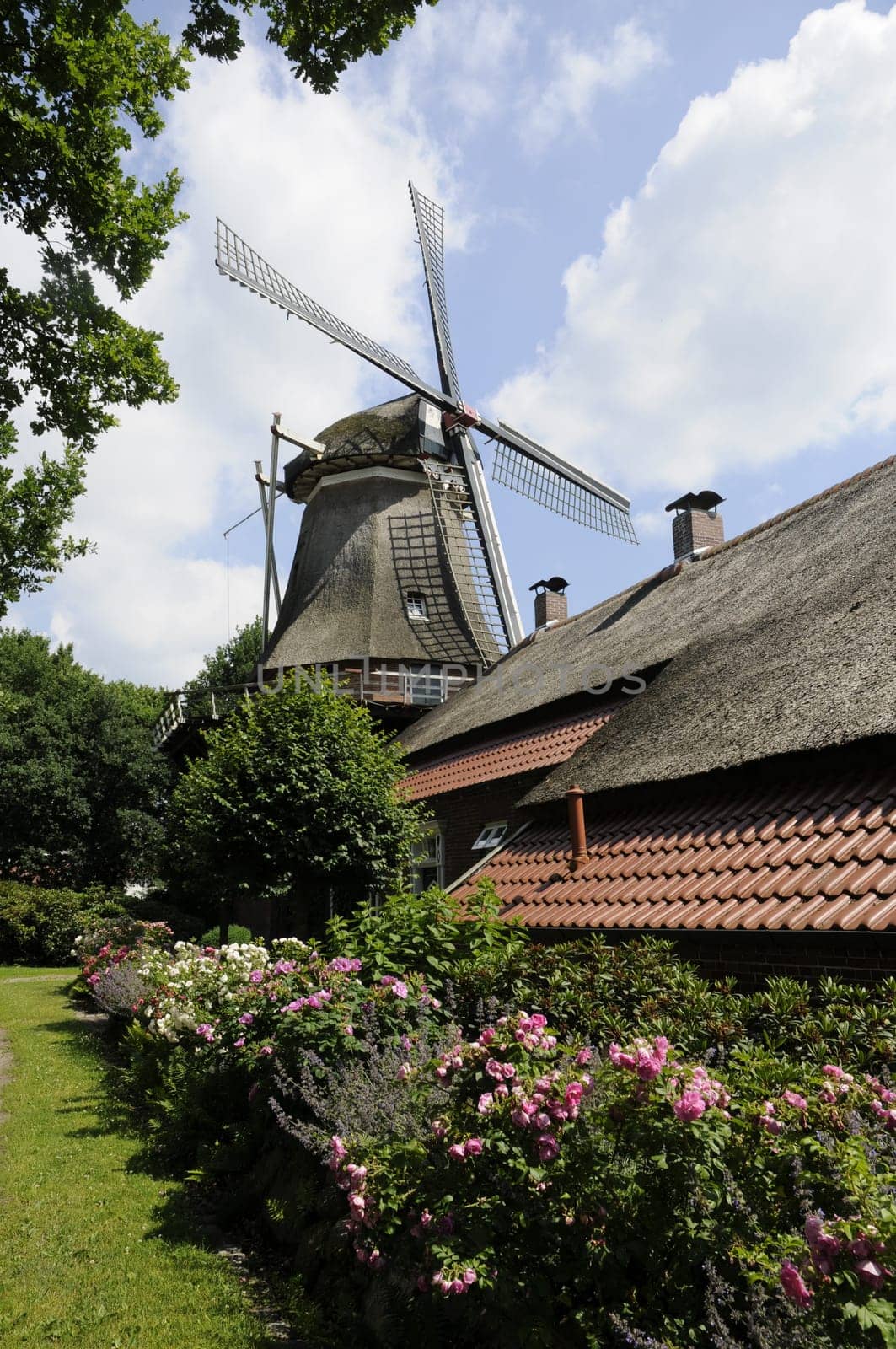 Windmill near Großefehn