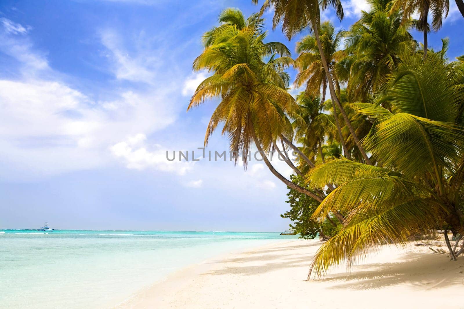 Paradise Beach
