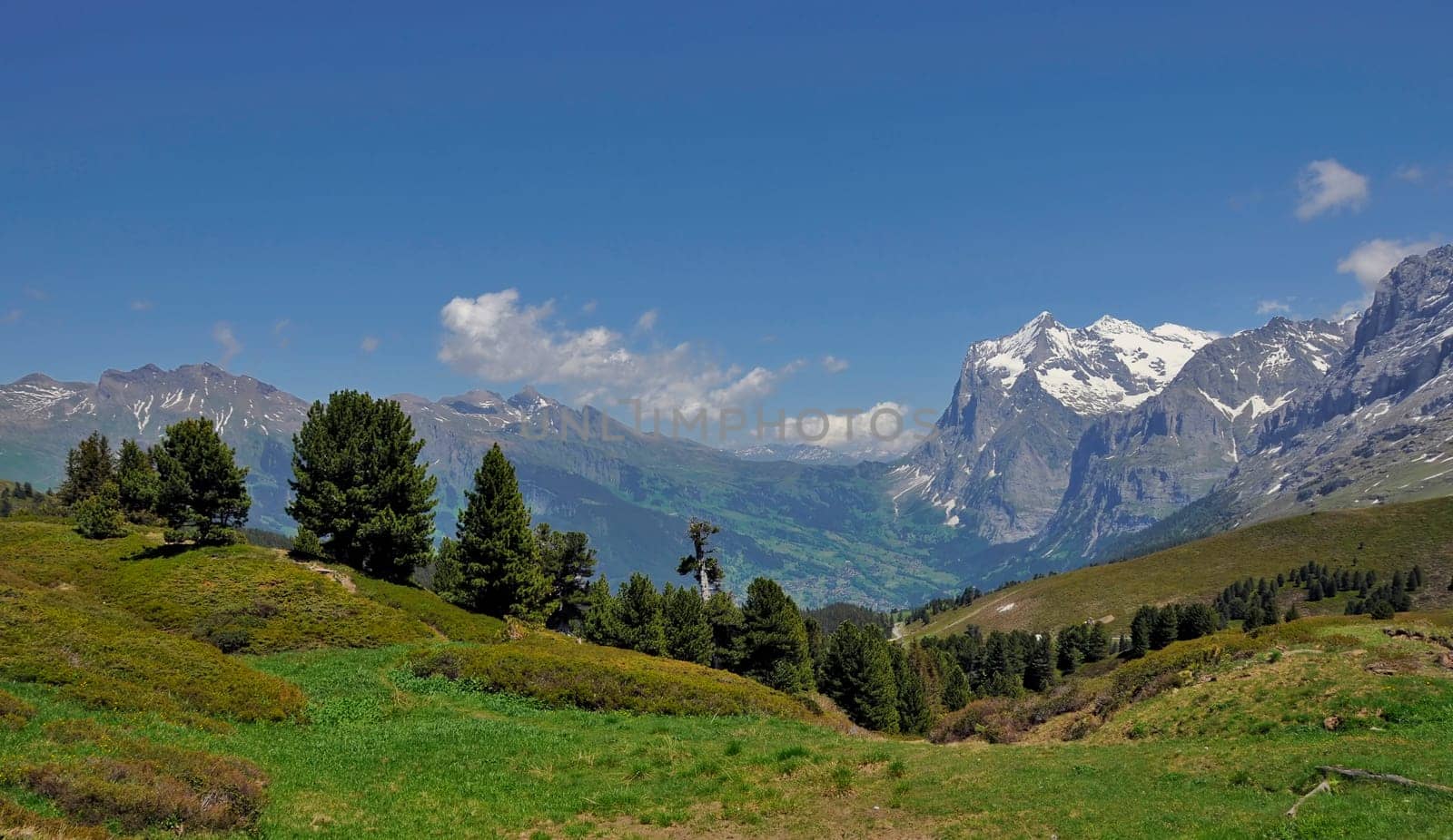 Wetterhorn
