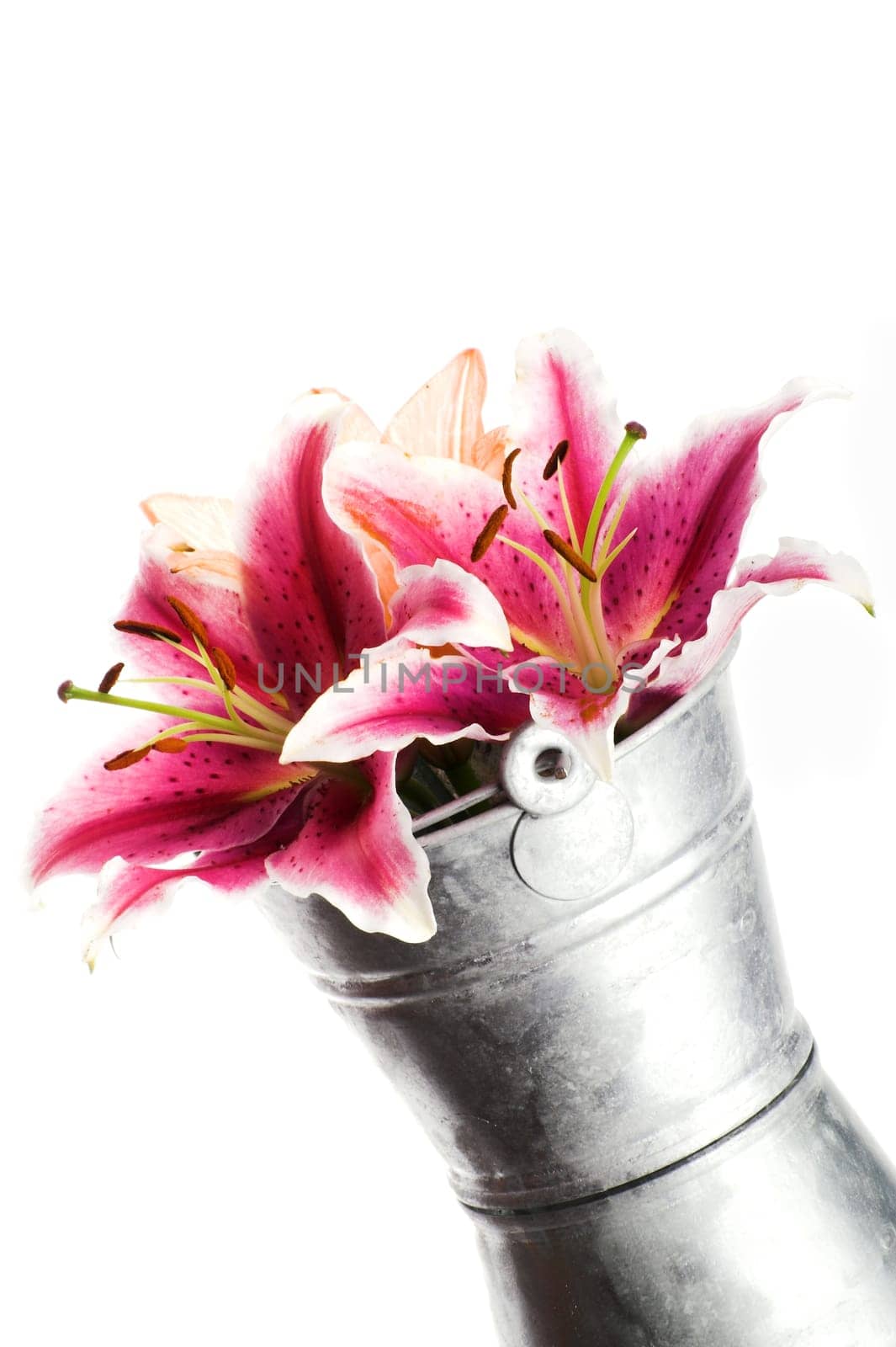 Lilies in a bucket