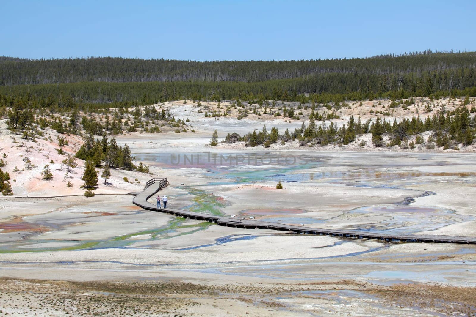 yellowstone national park - norris geyser basin