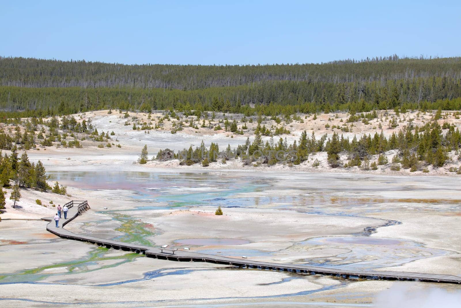 yellowstone national park - norris geyser basin