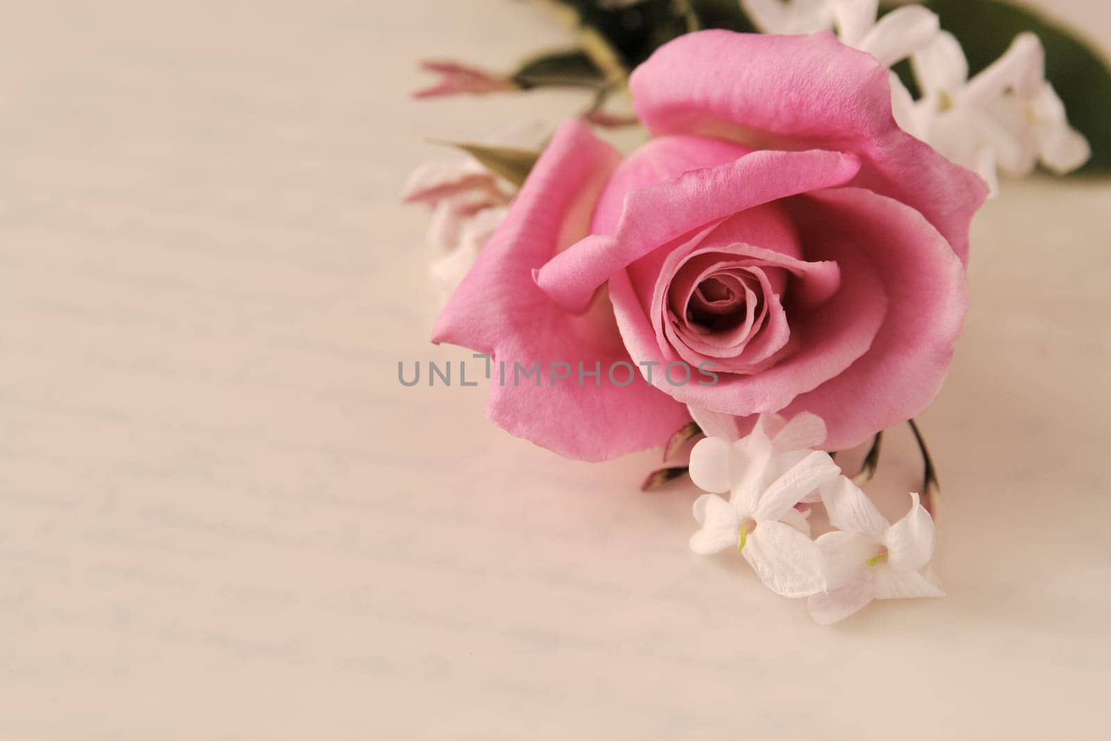 rose and jasmine