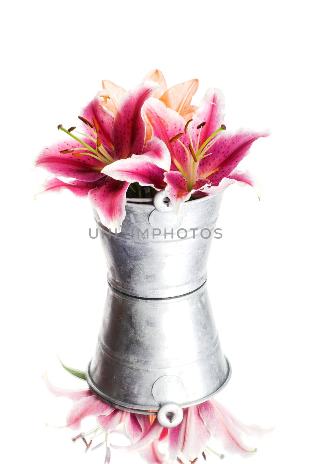 Lilies in a bucket