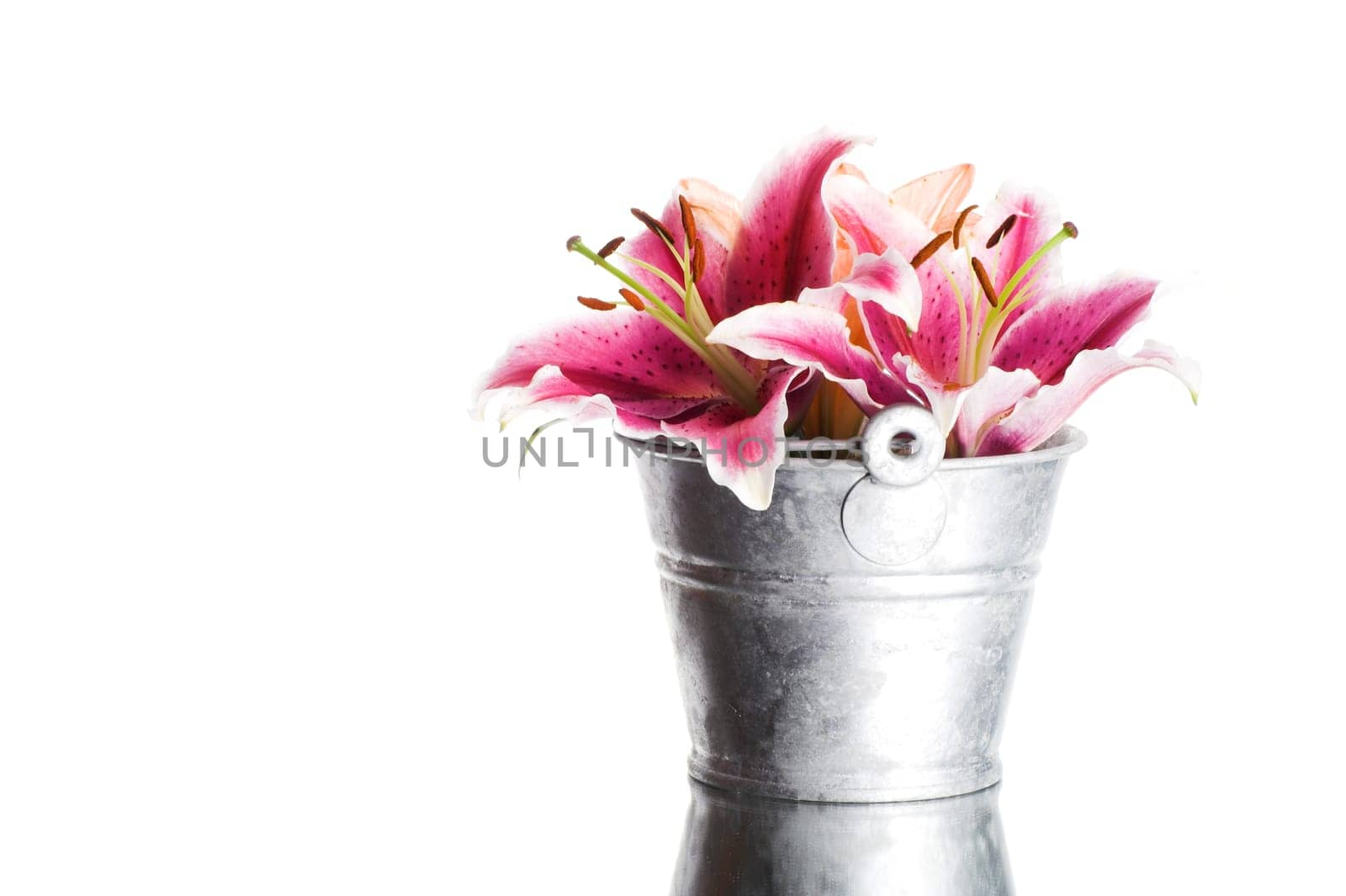 Lilies in a bucket