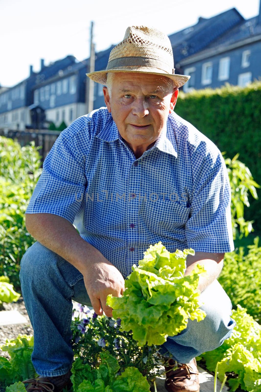 Senior in the garden