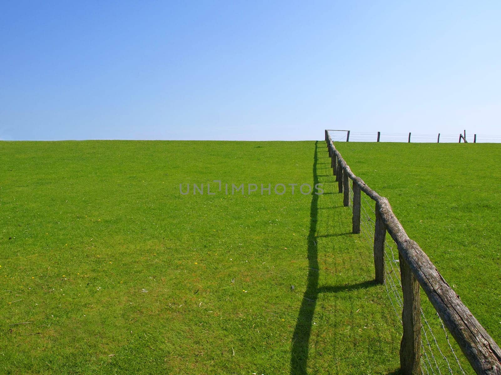 fence