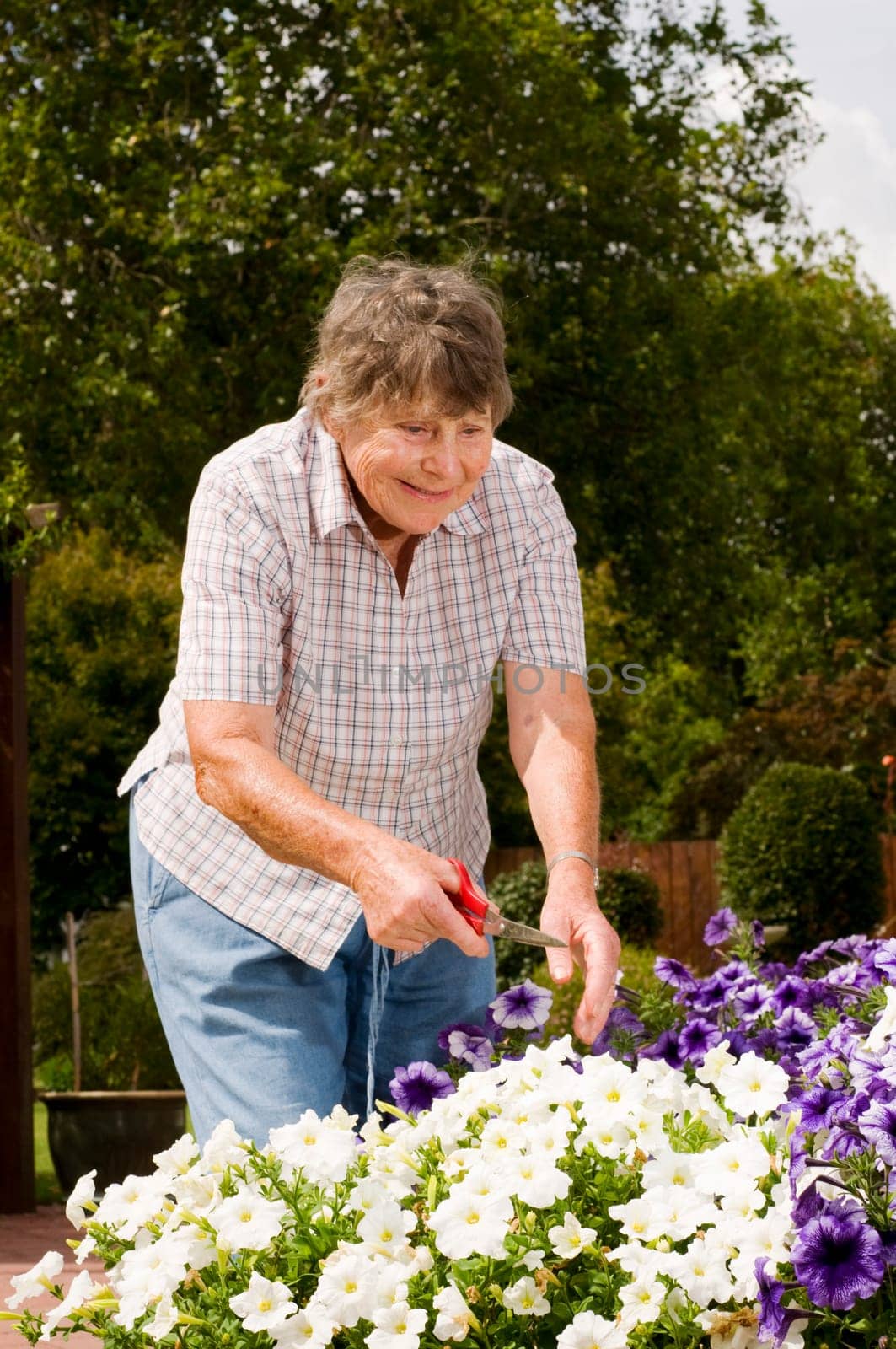 senior lady doing some gardening