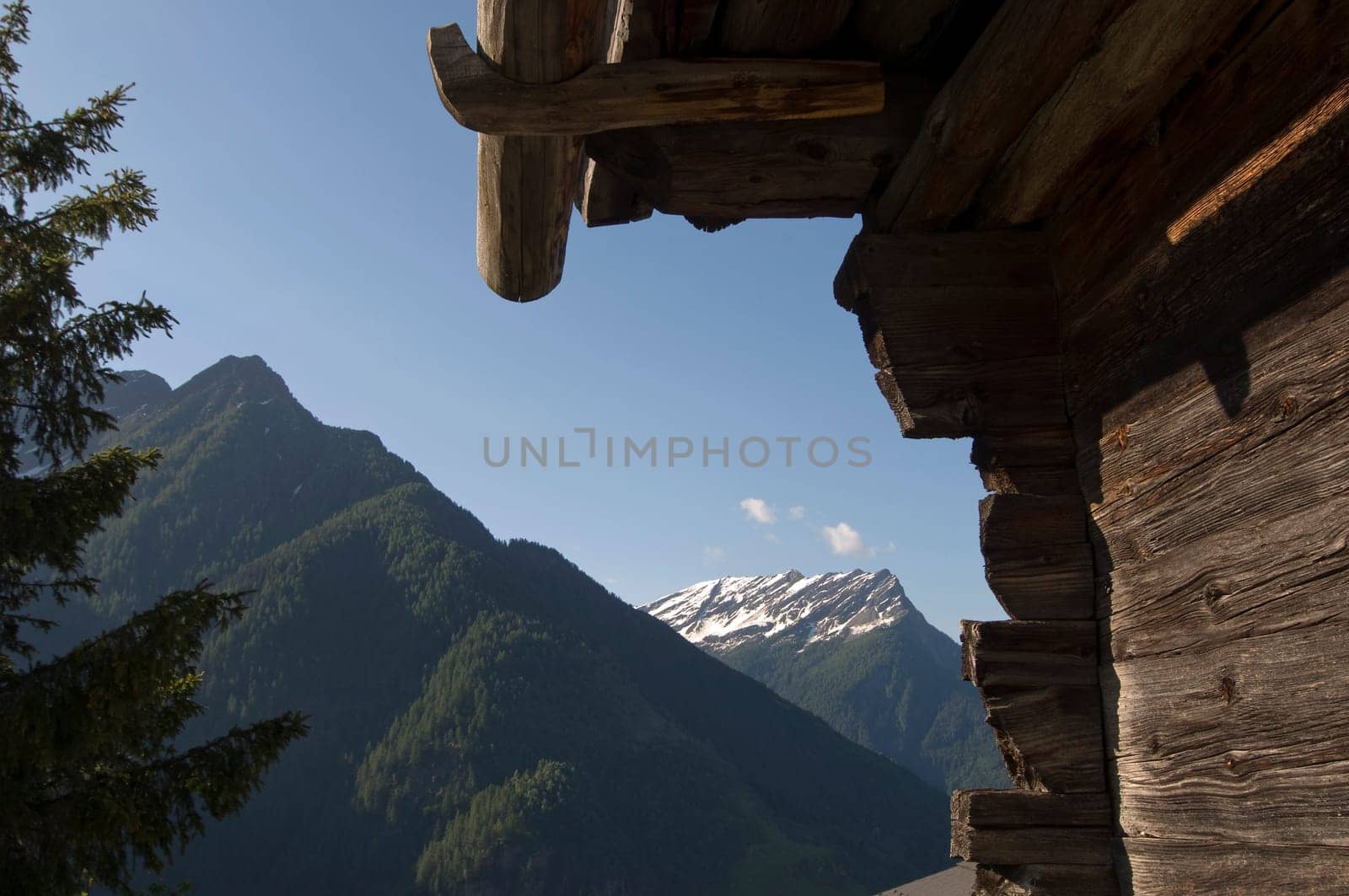 Living in the Alps