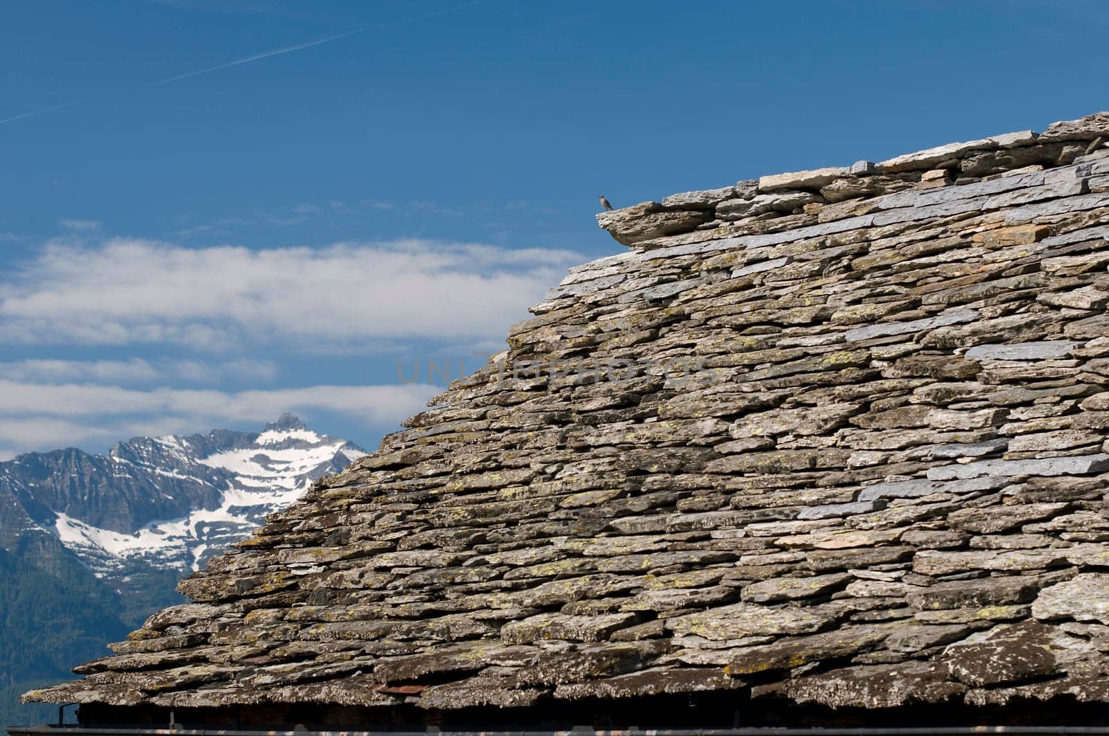 Roof over the landscape