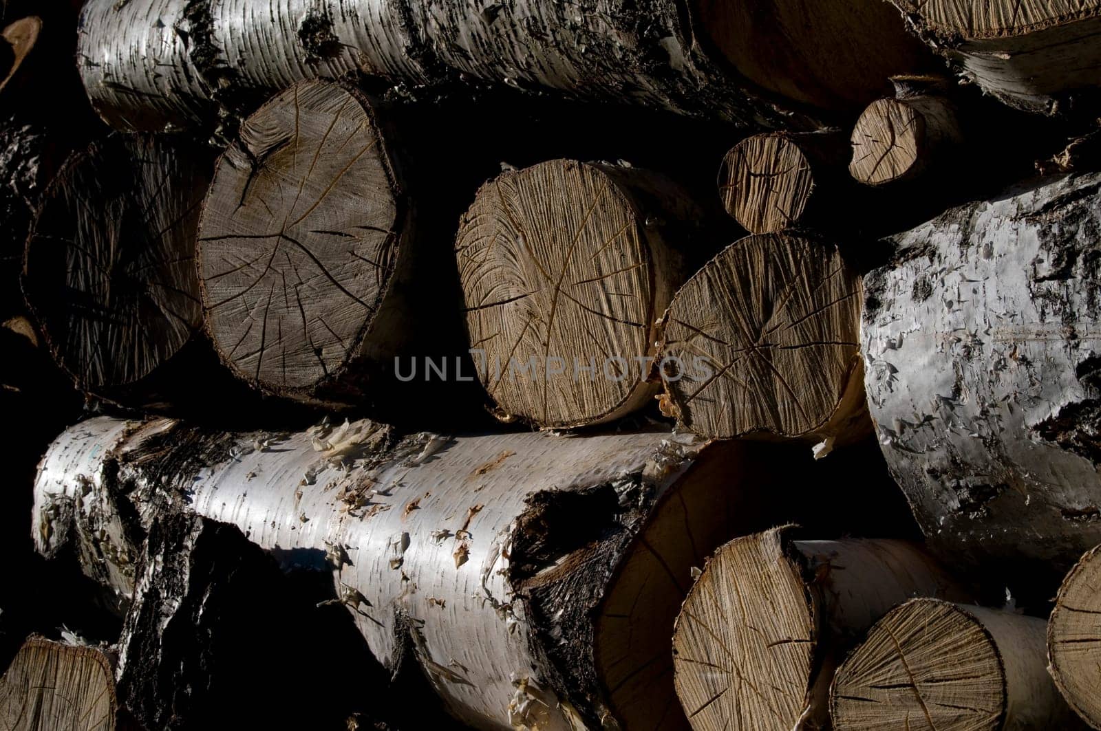 Logs