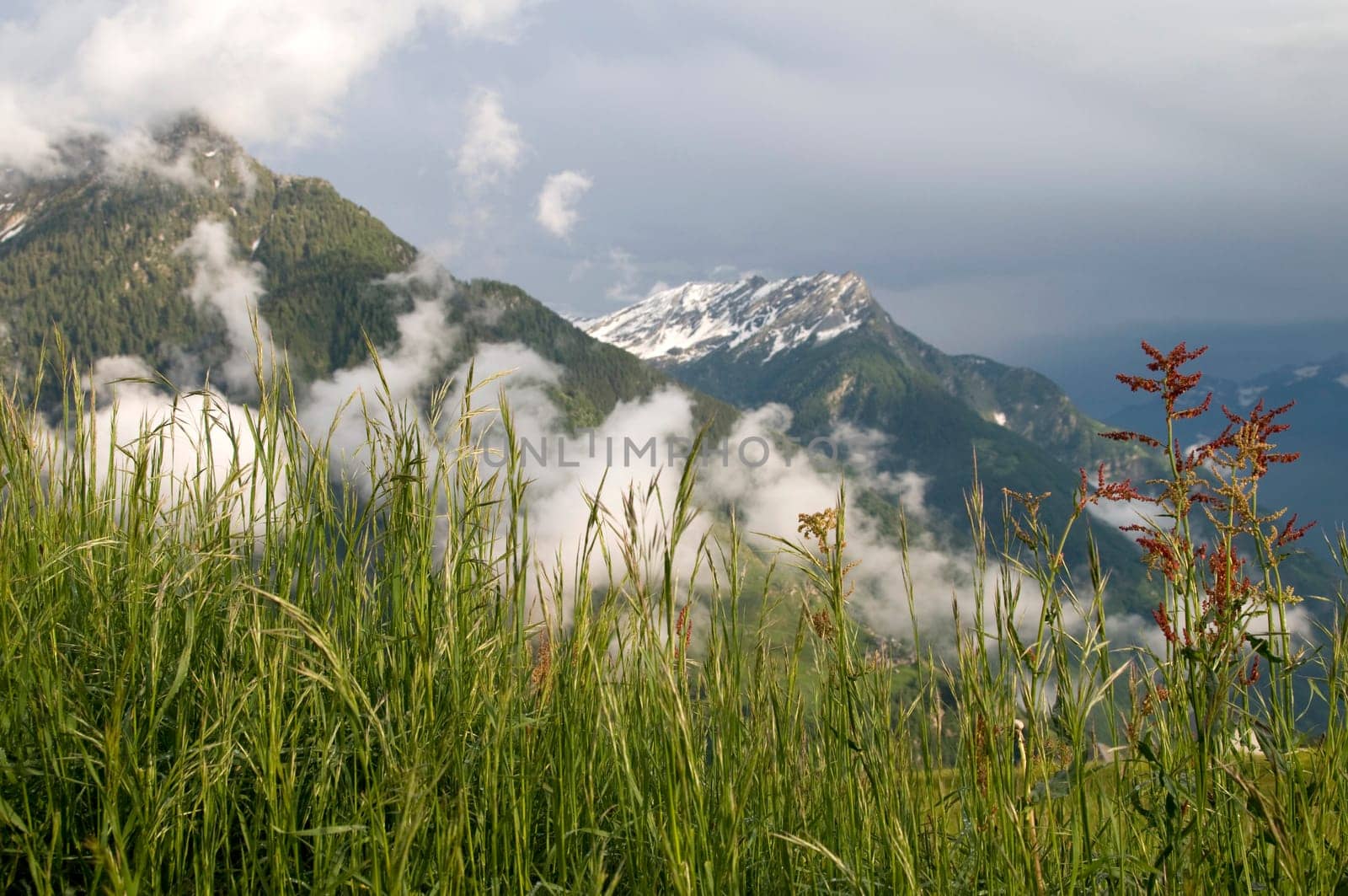 Alpine landscape
