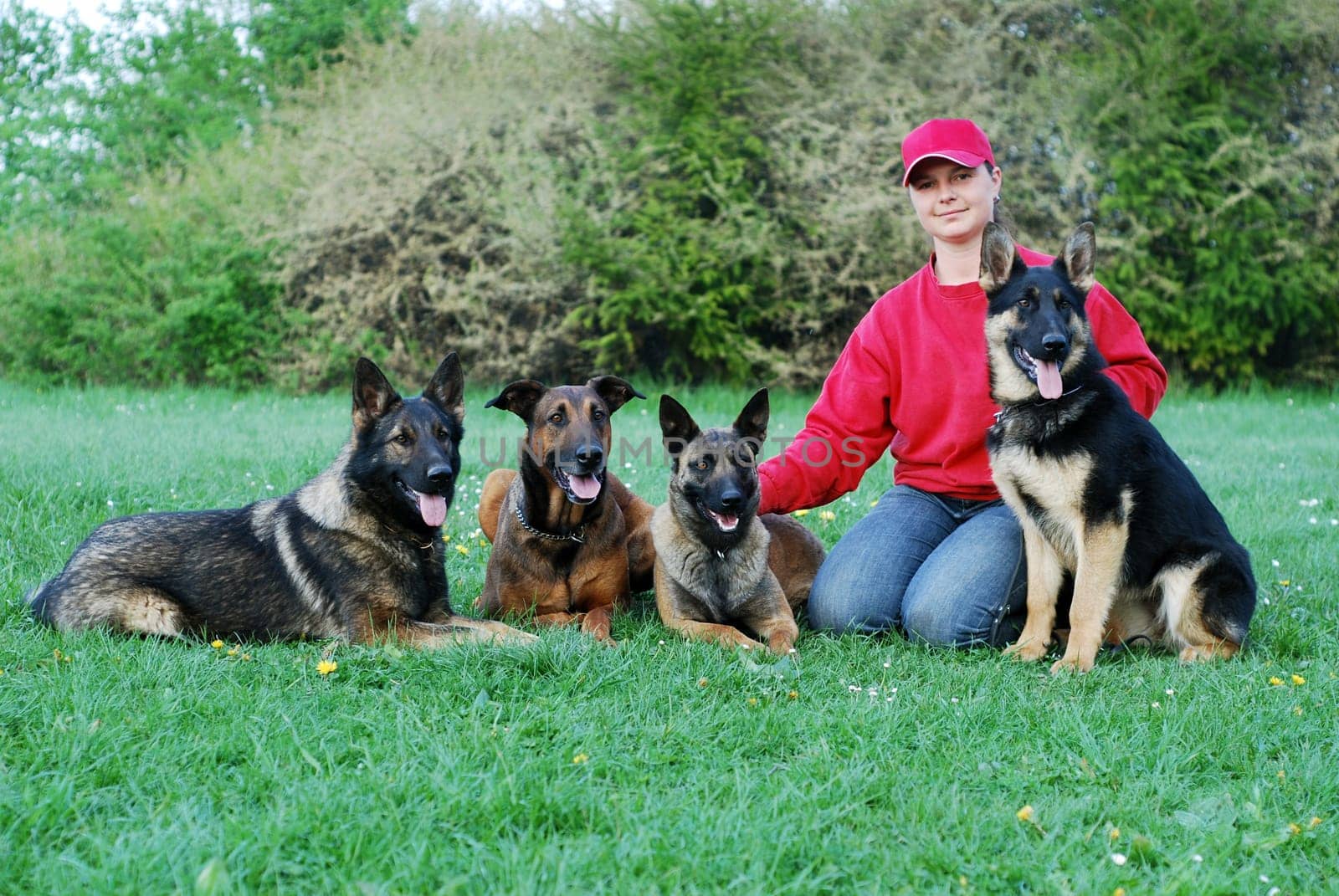 Woman with dogs