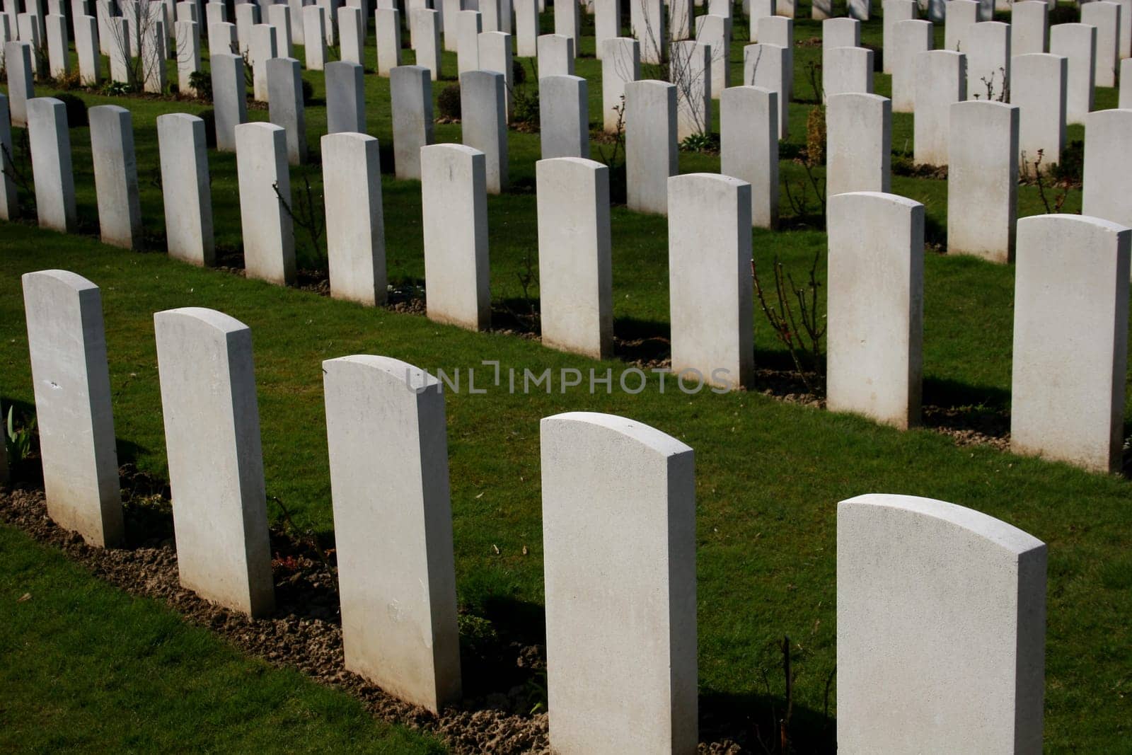 Gravestones on military cemetery