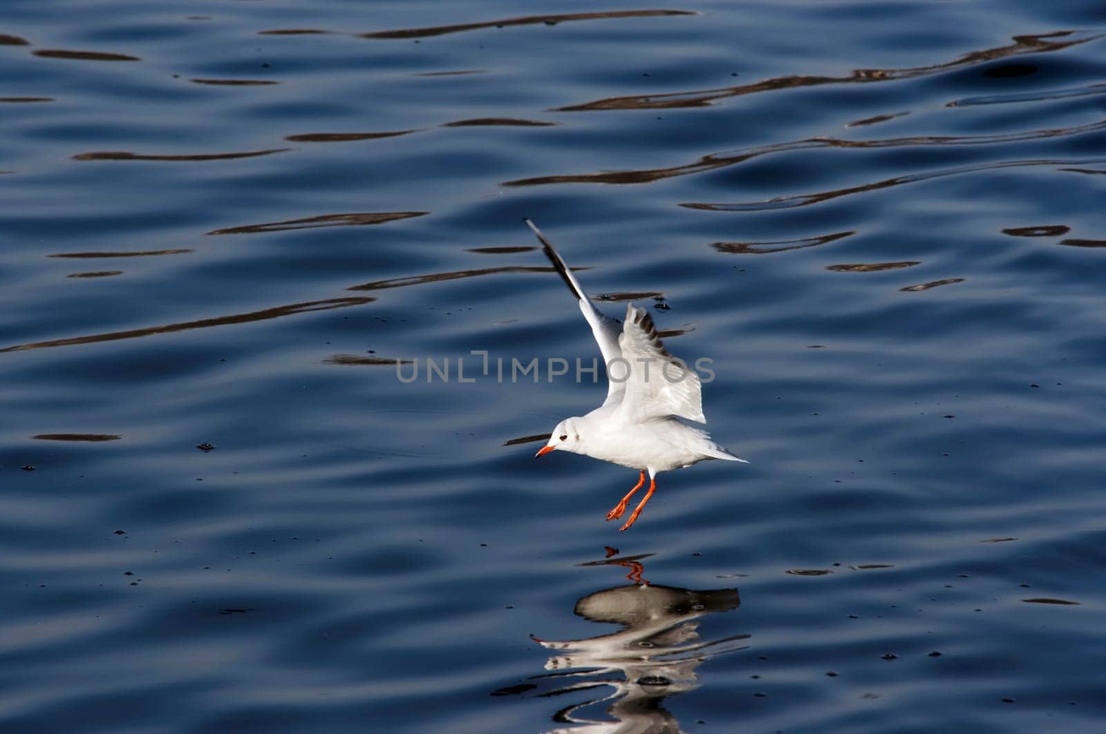 splashdown