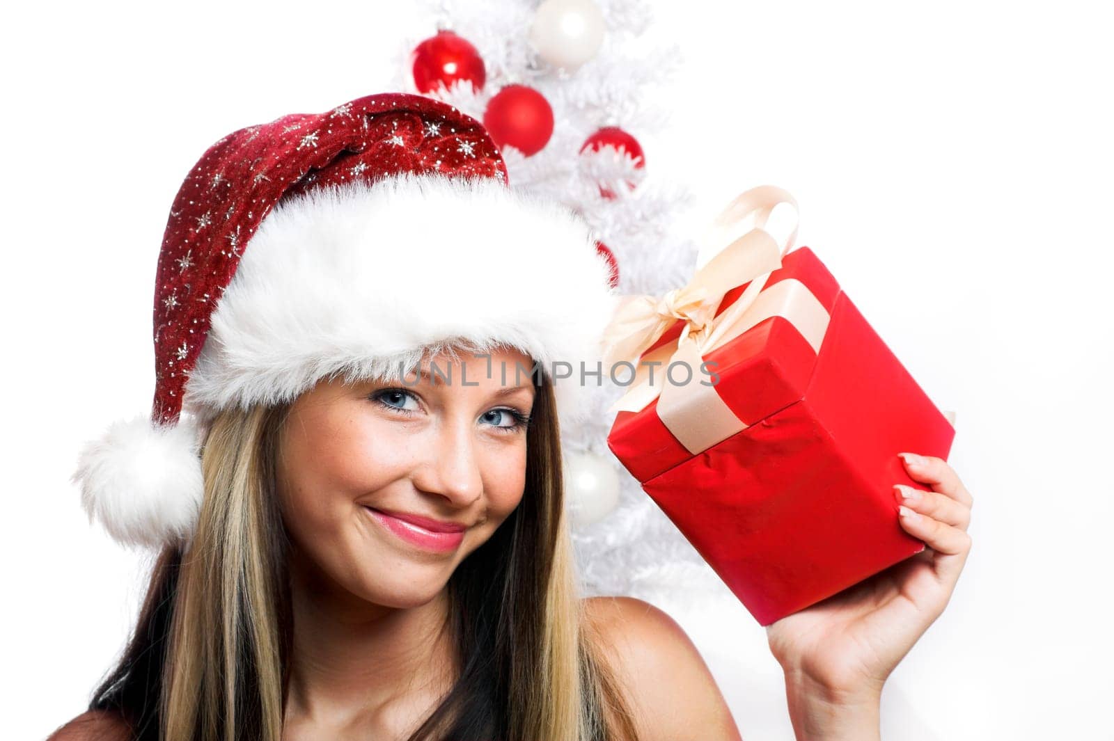 Santa Claus with gift