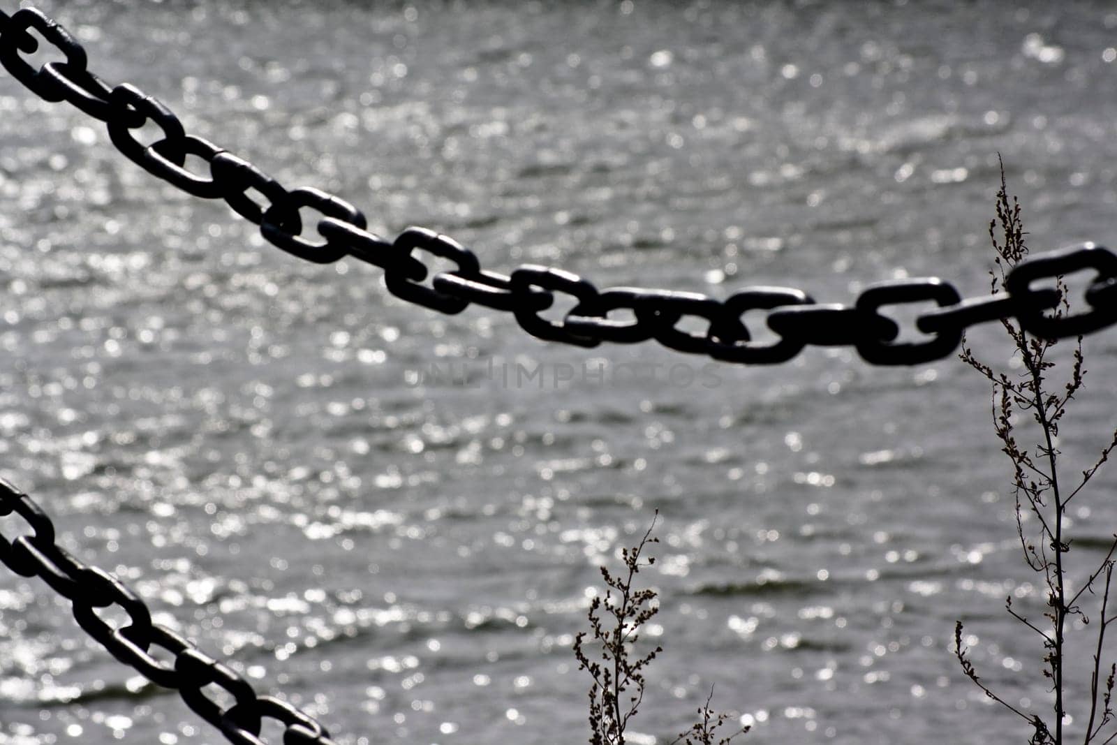 Chain