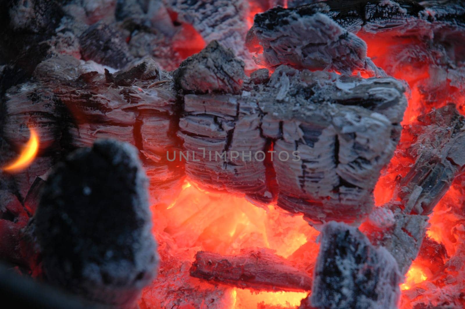 Embers of Fire