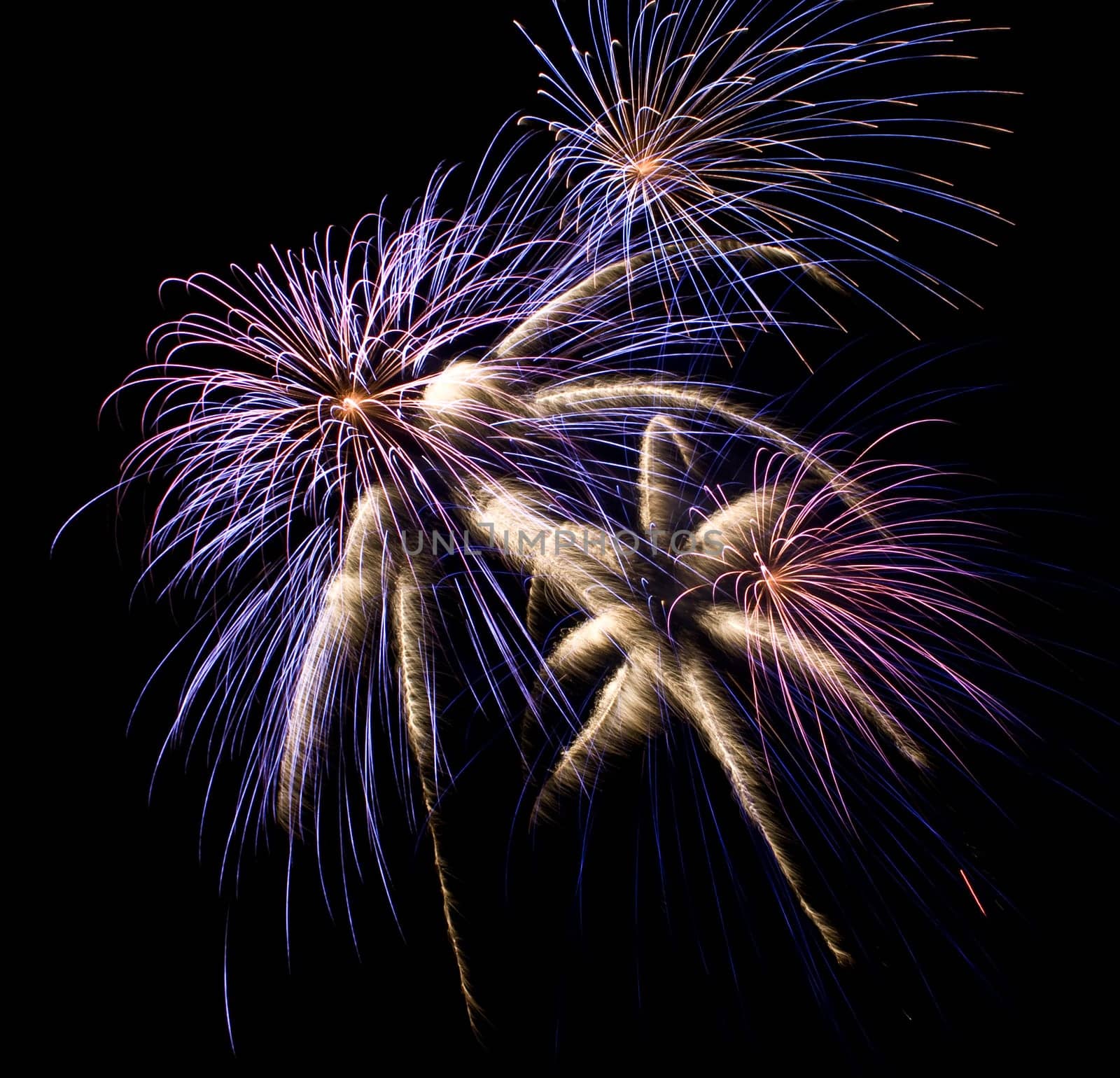 Firework
