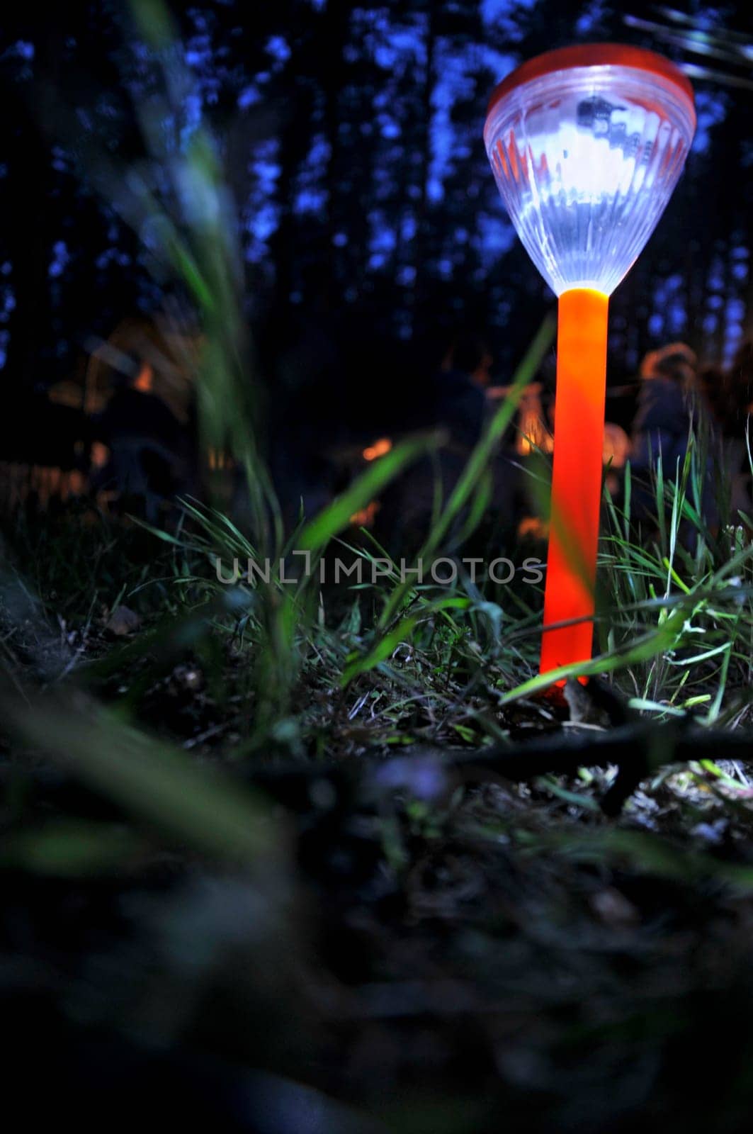 Light in the dark