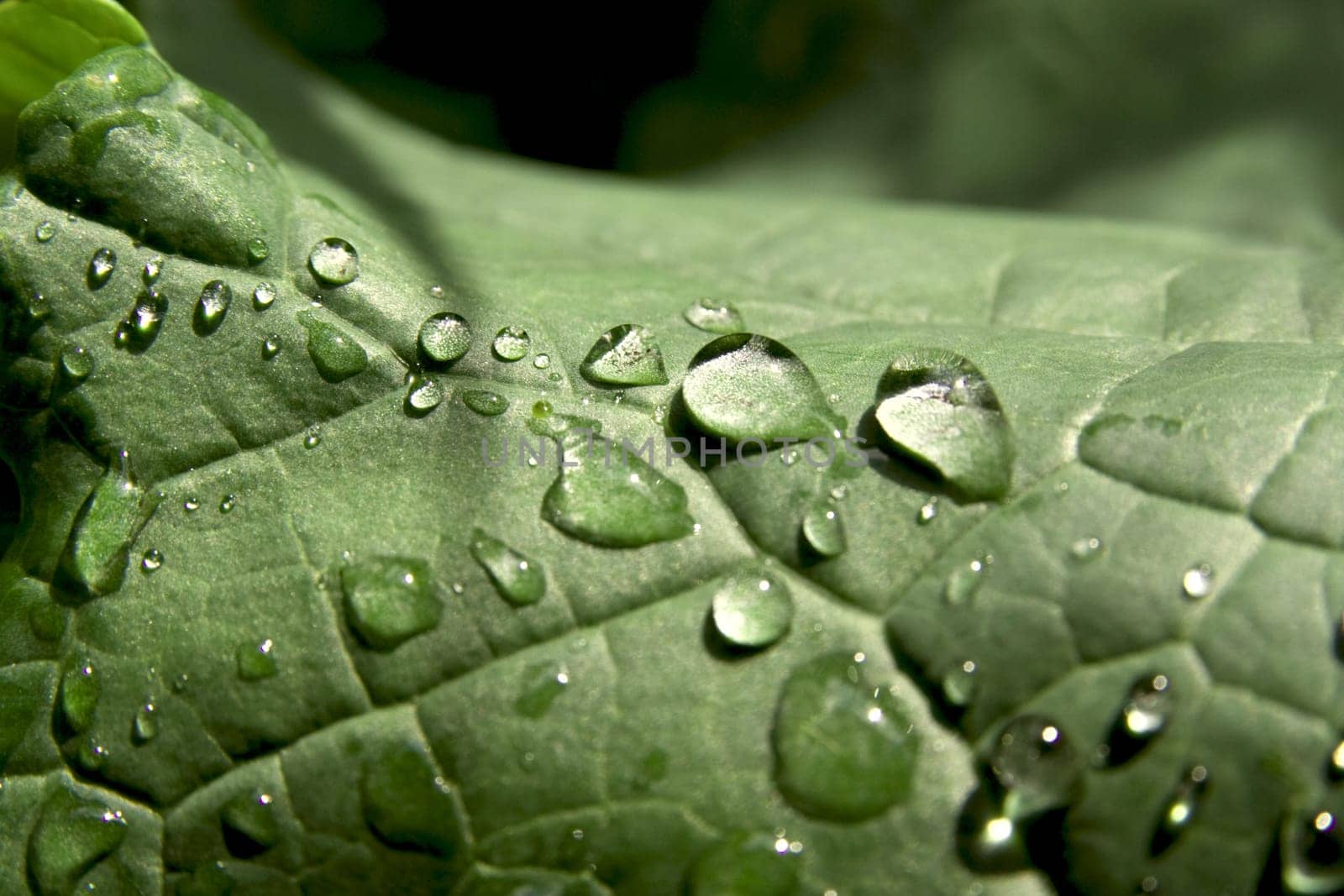 After rain