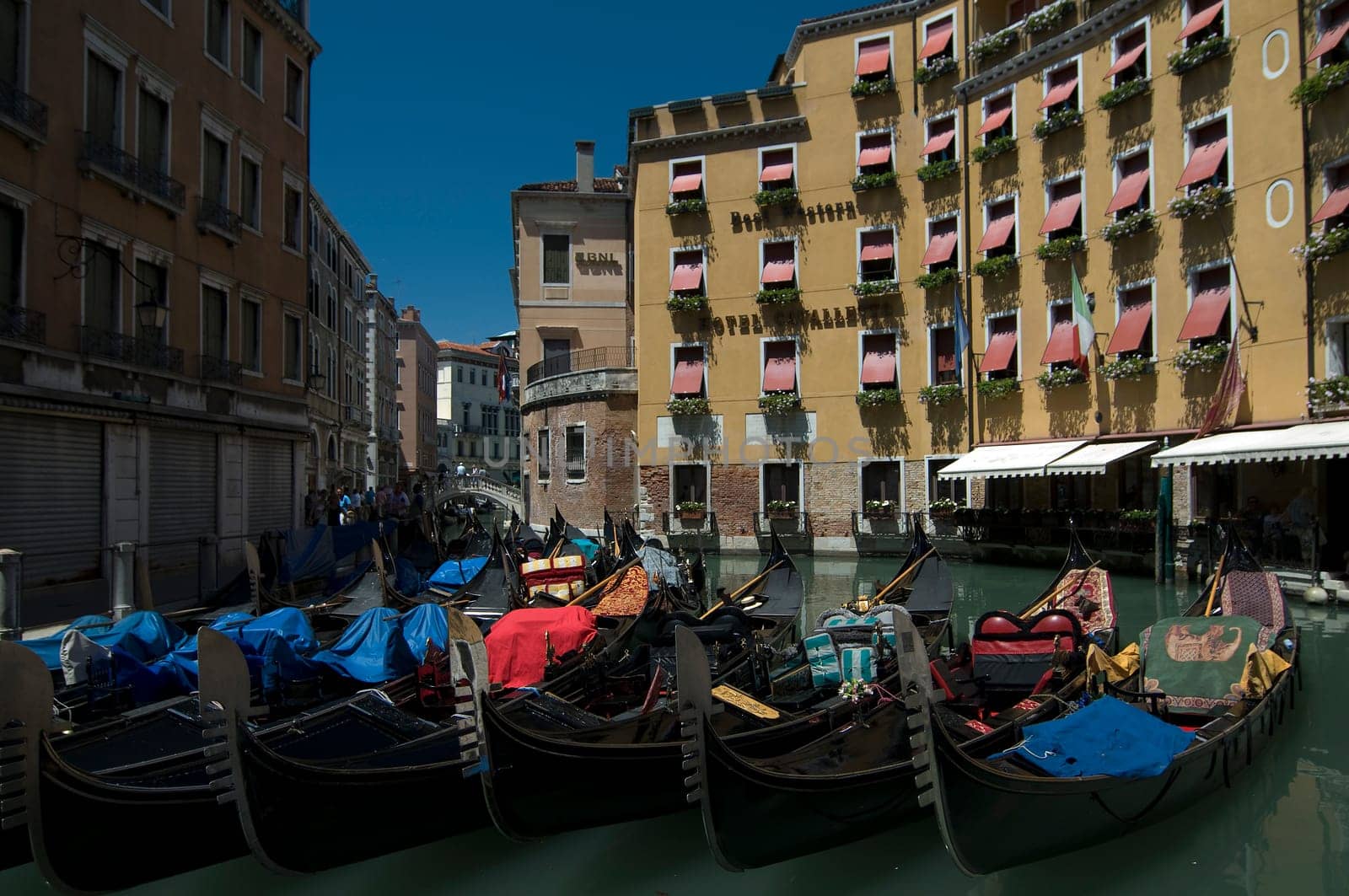 Venice 4