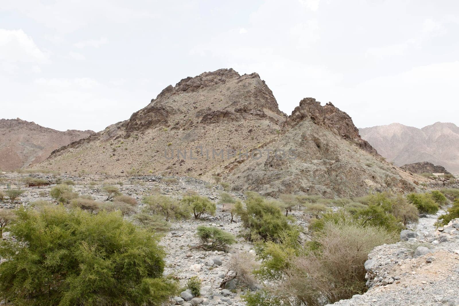 Oman