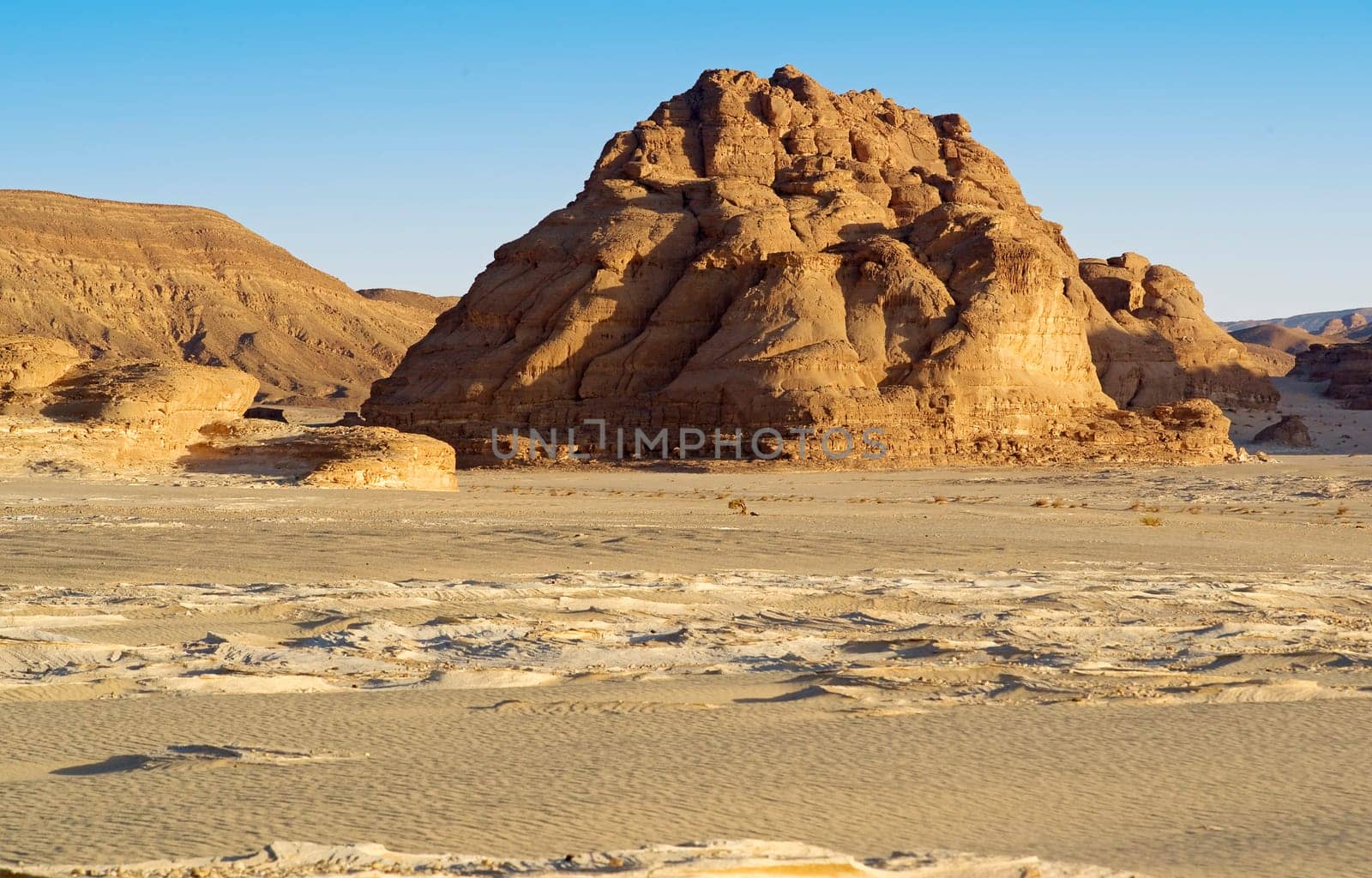 Albarqa 5