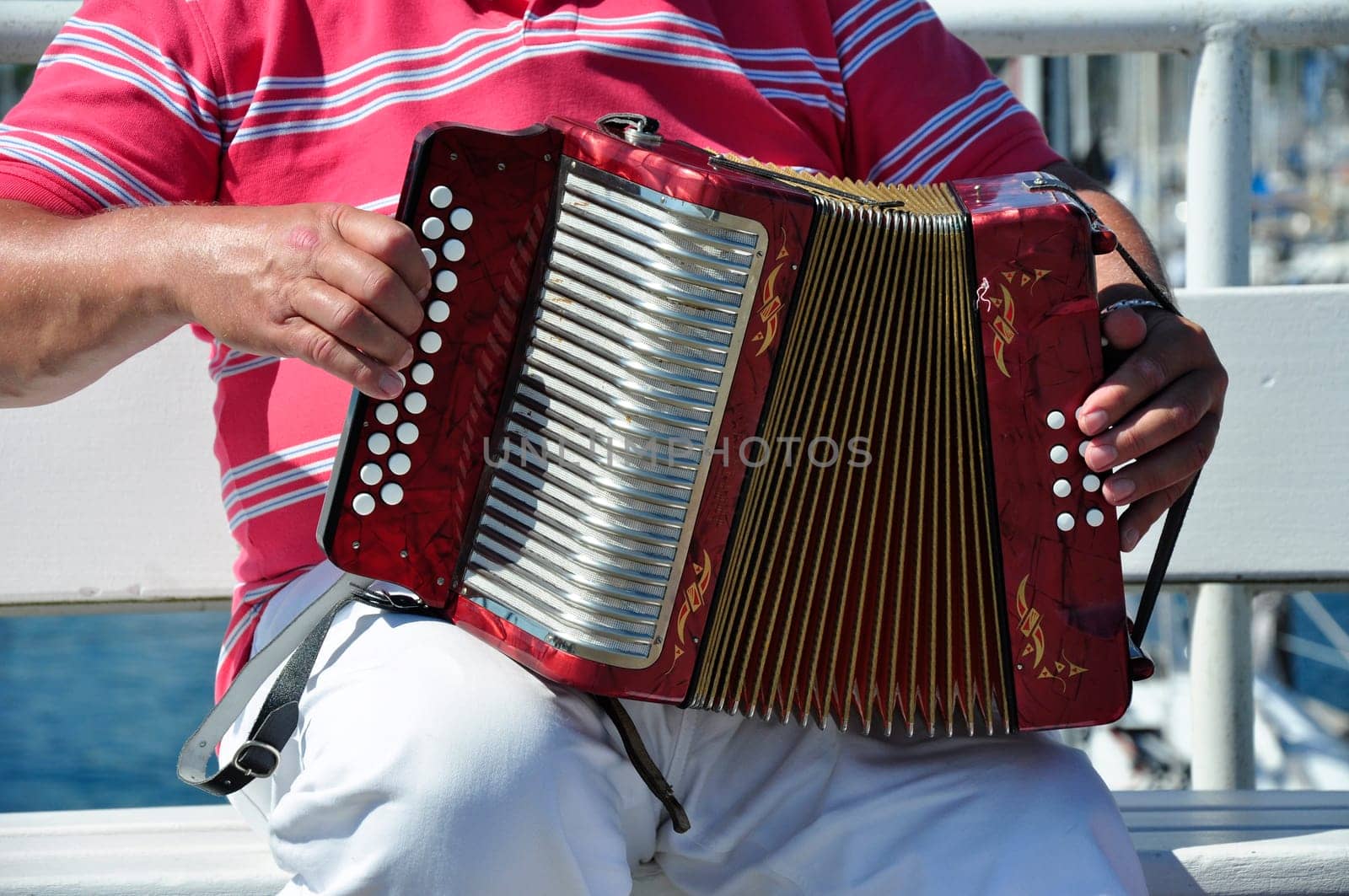 Accordionist