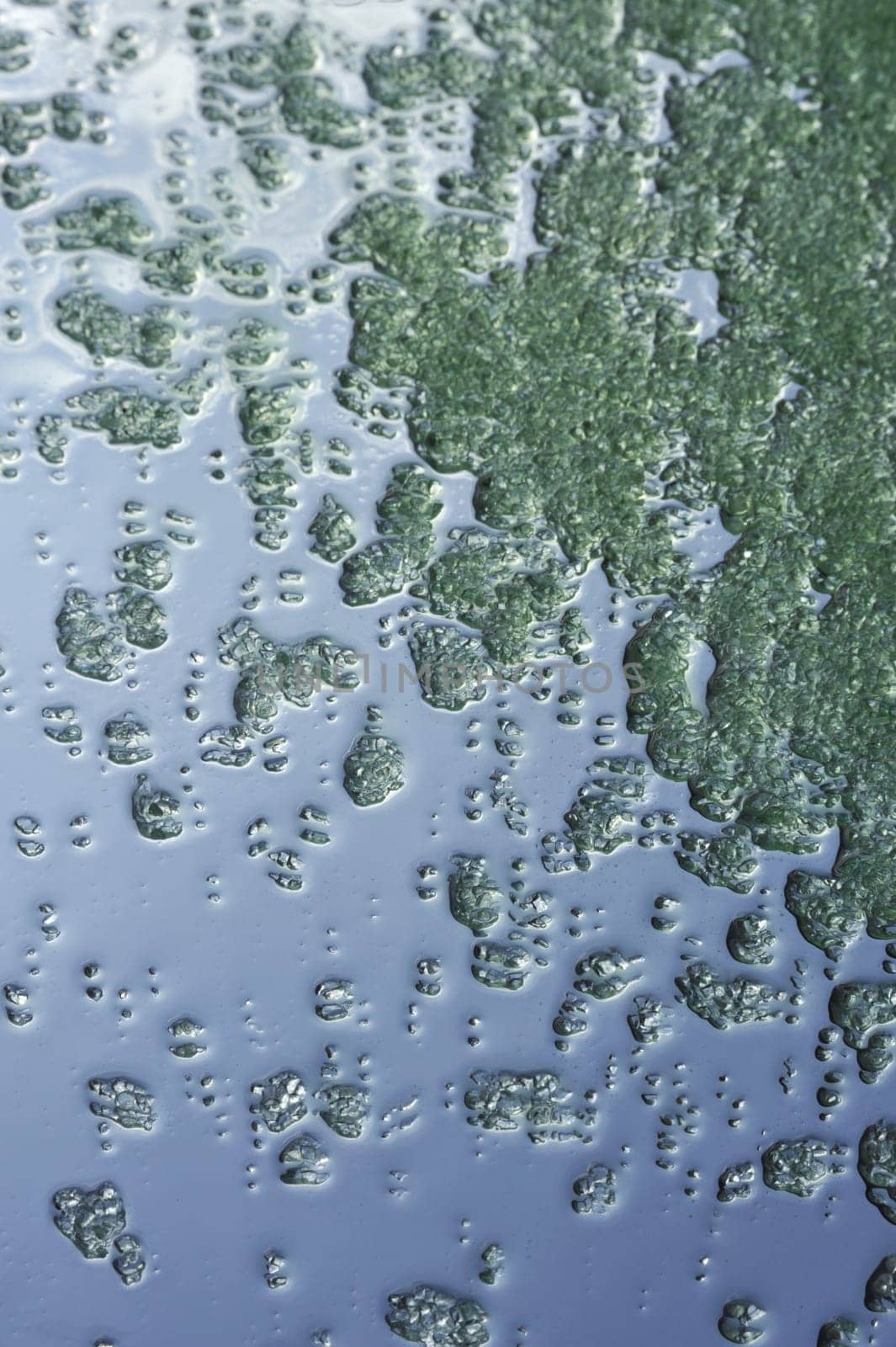 Green crystals of sea salt