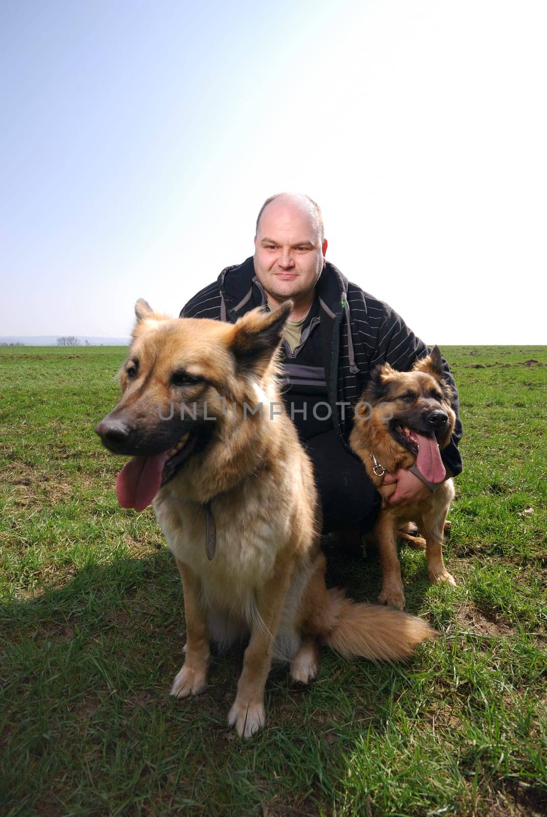 Man with dogs