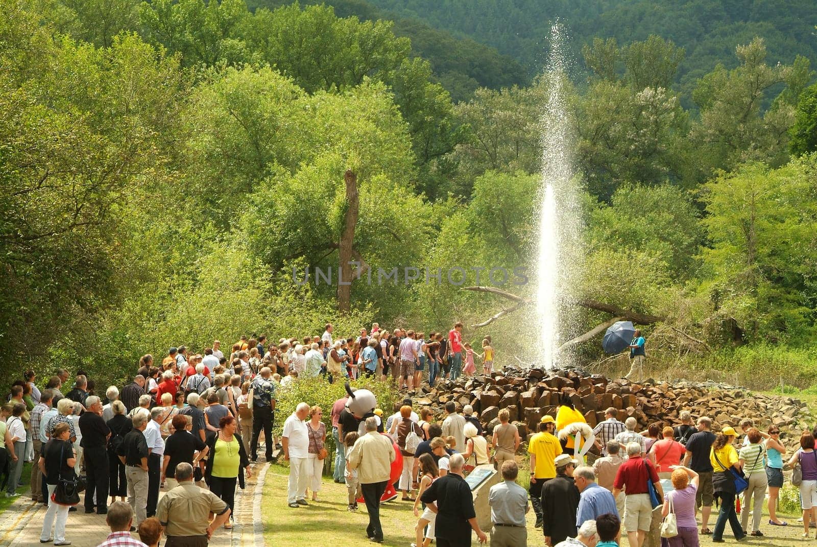 Geyser in Andernach