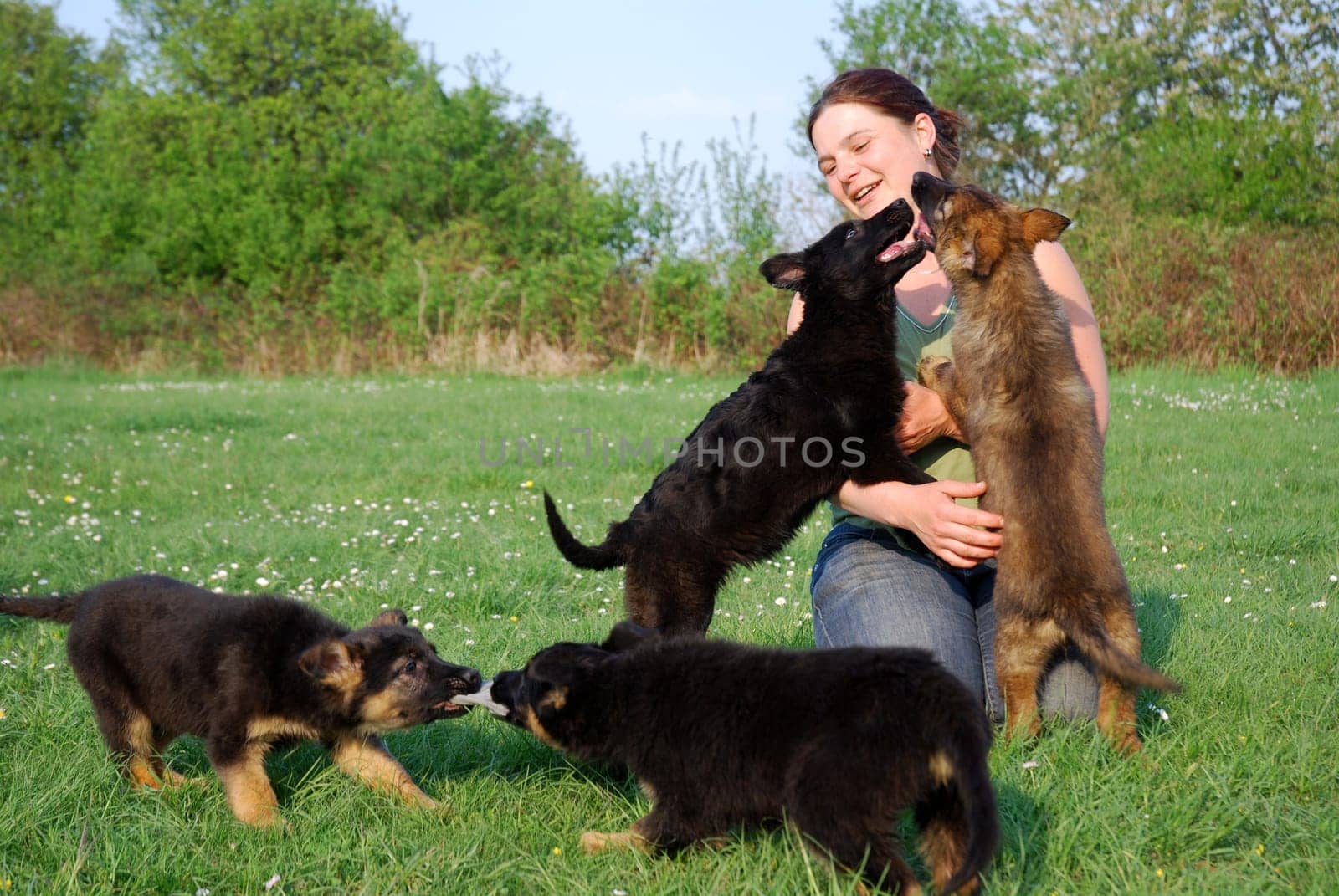 Woman with German Shepherd puppy