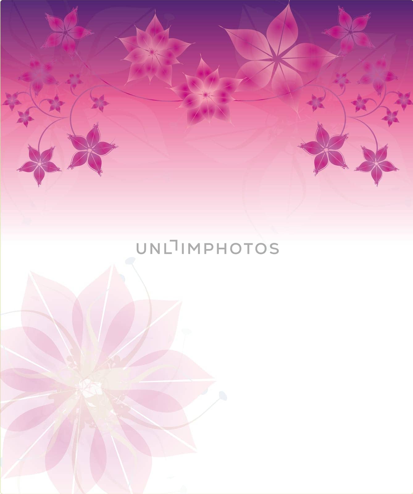 Pink Floral Background
