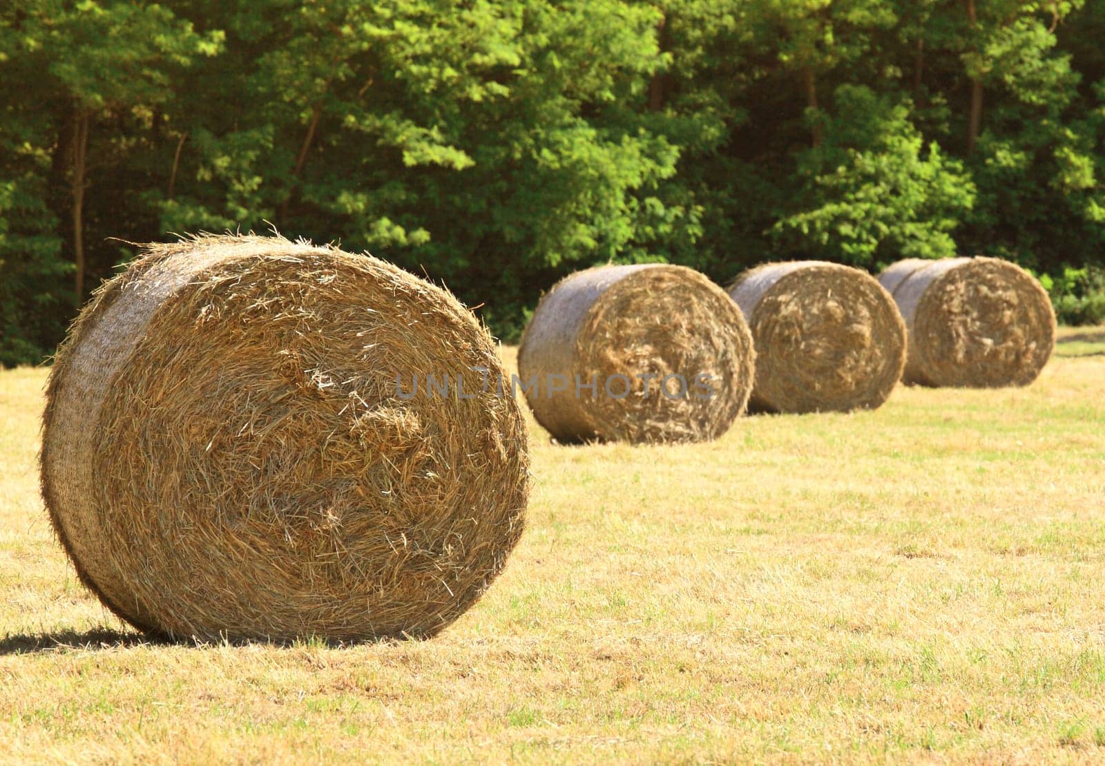 bale