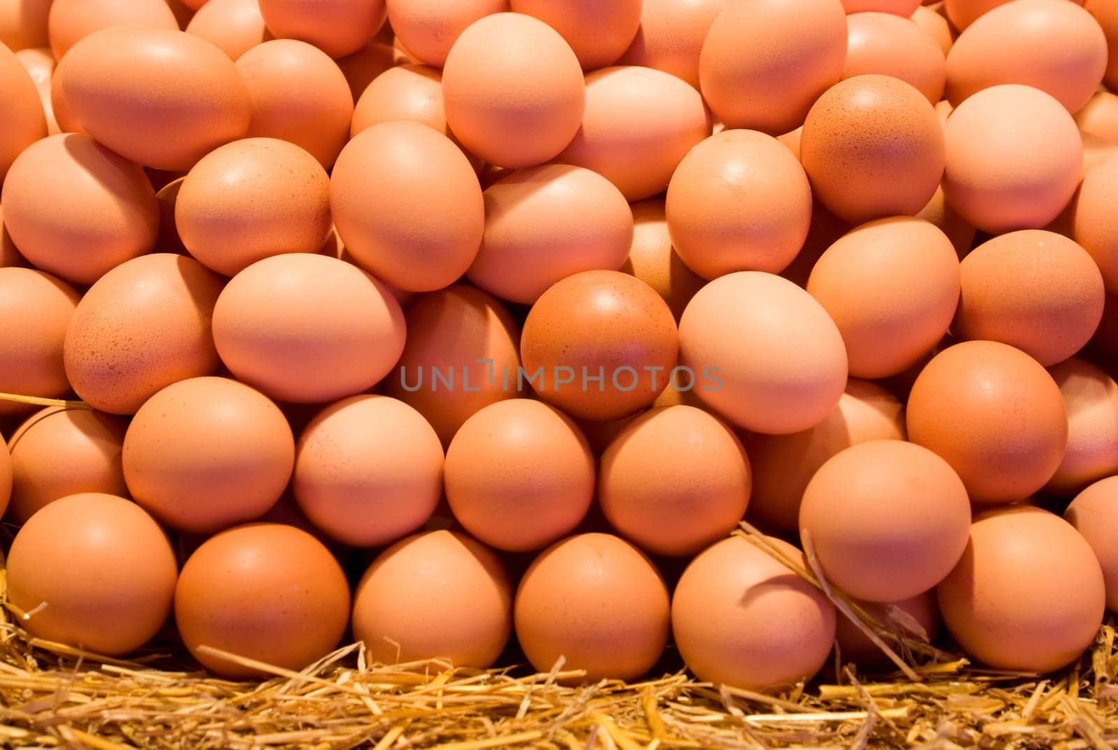 Fresh eggs from the market