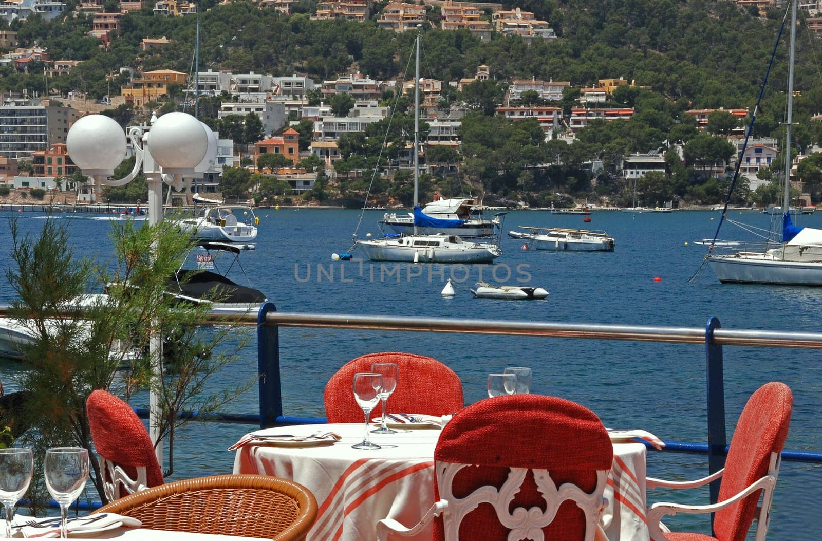 Gastronomy on the Mediterranean