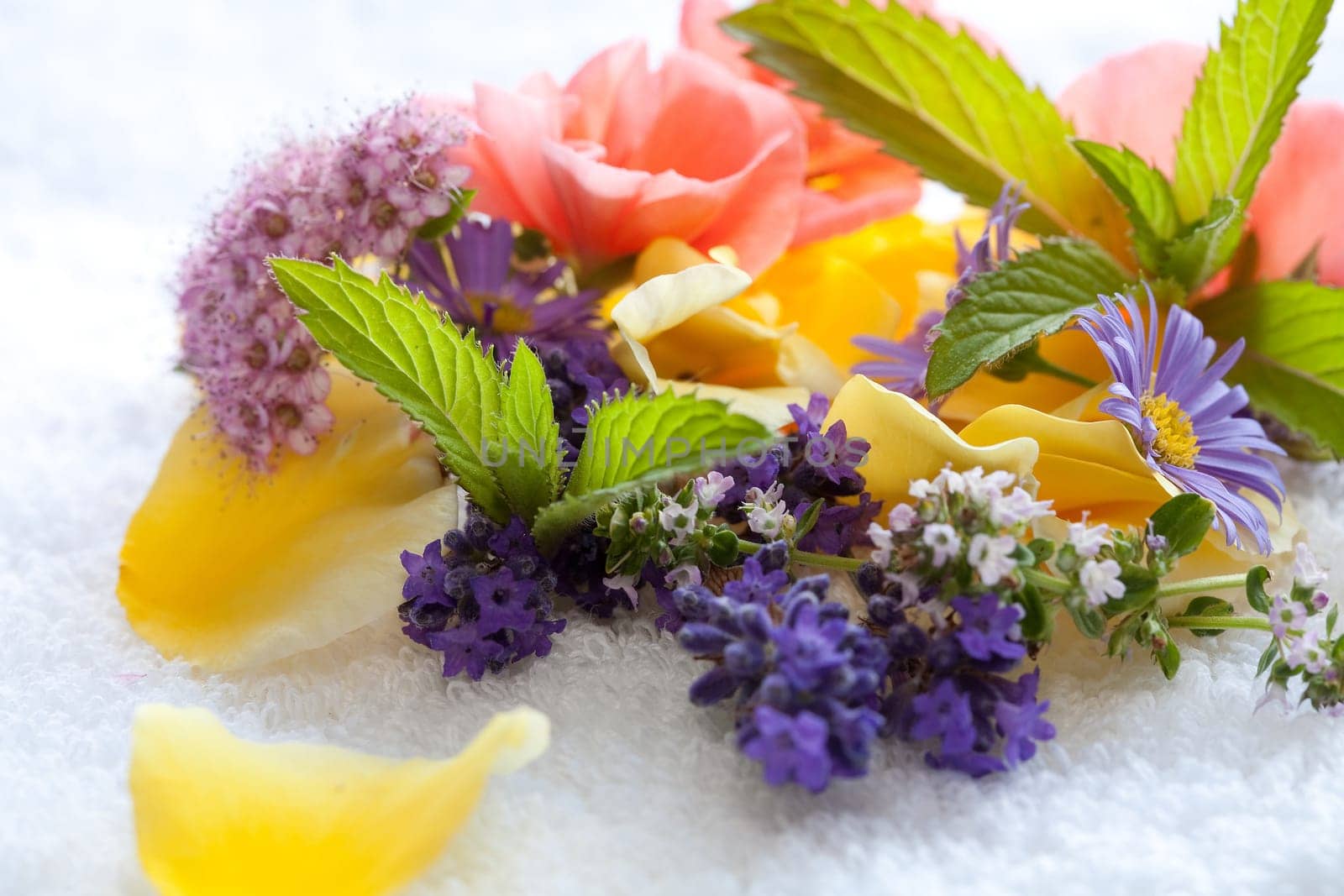 fresh flowers,medicinal herbs