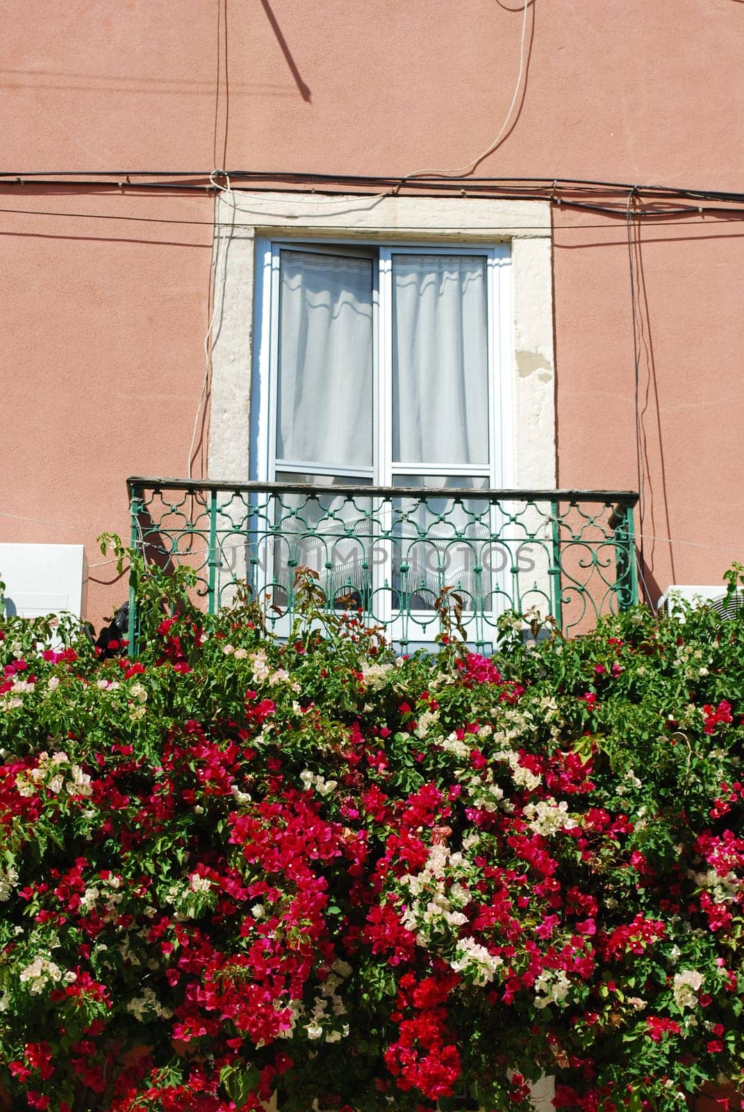 Typical window balcony with flowers in Lisbon
