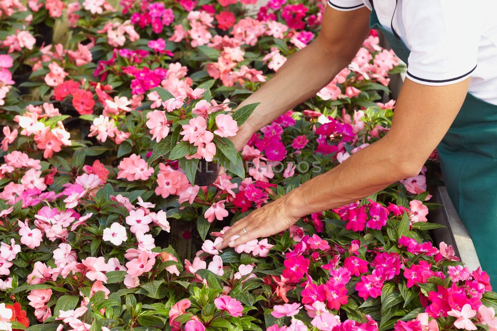 florist