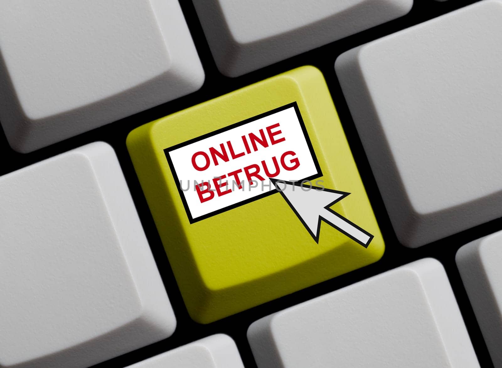 Online fraud on the Internet
