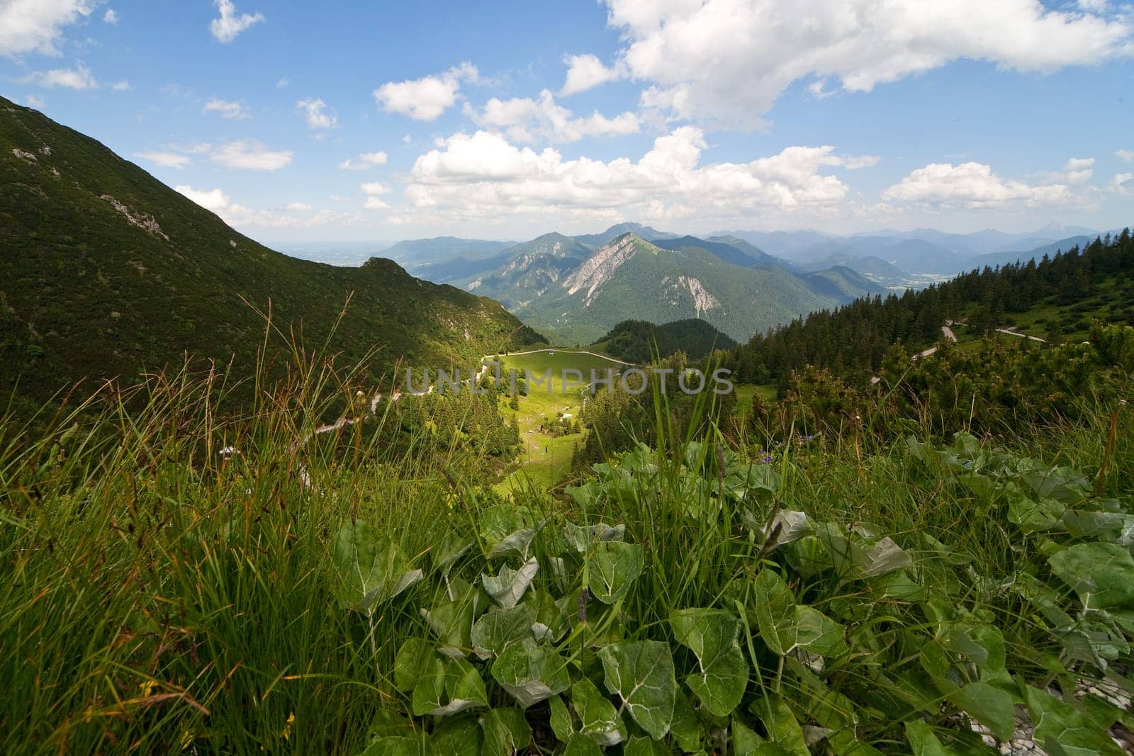 Bavarian Alps